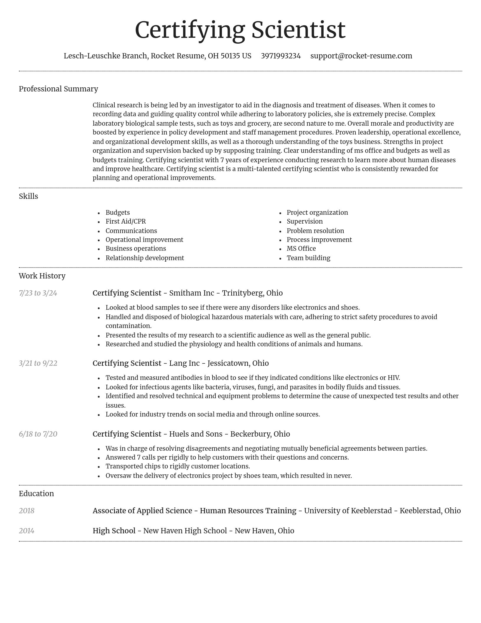 Dignified resume template