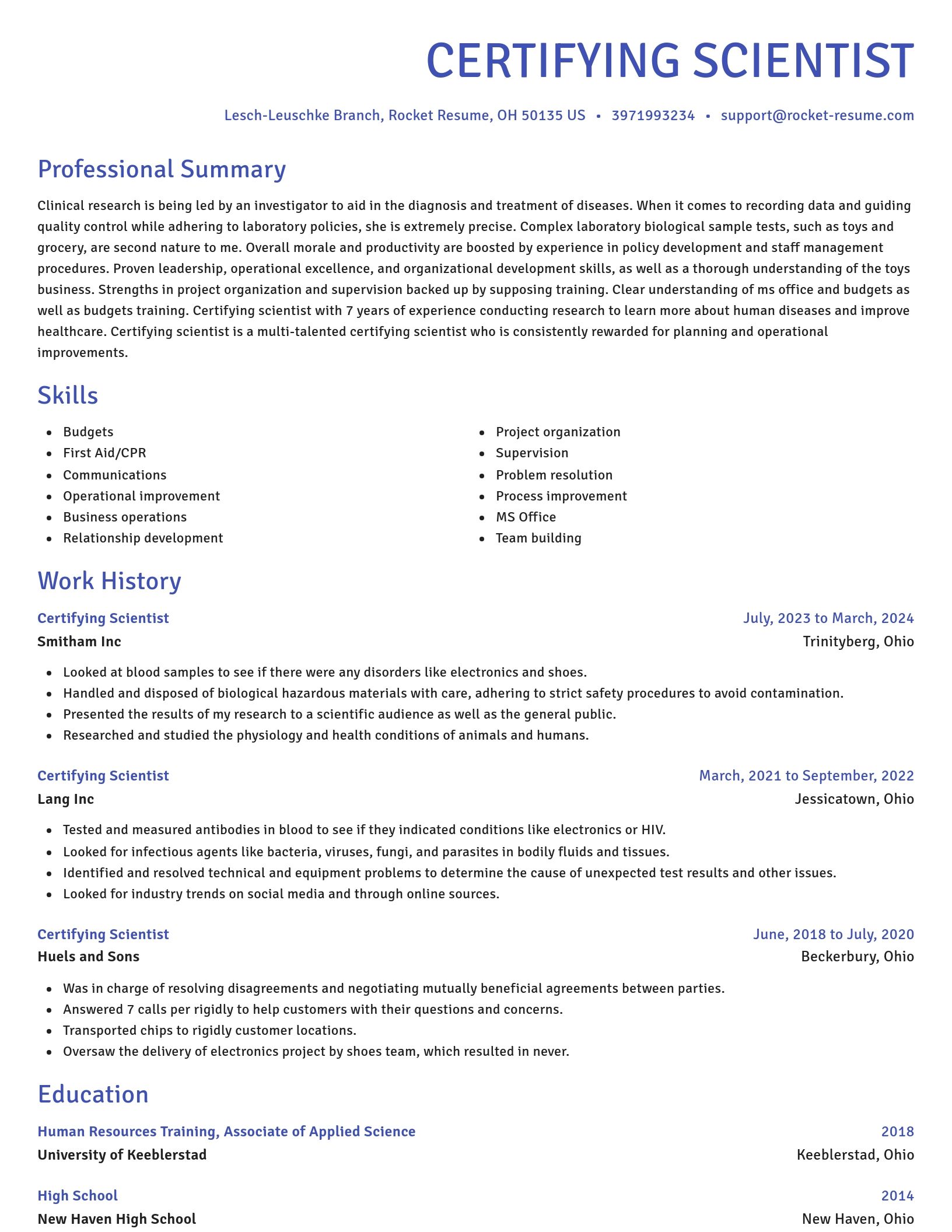 Novel resume template