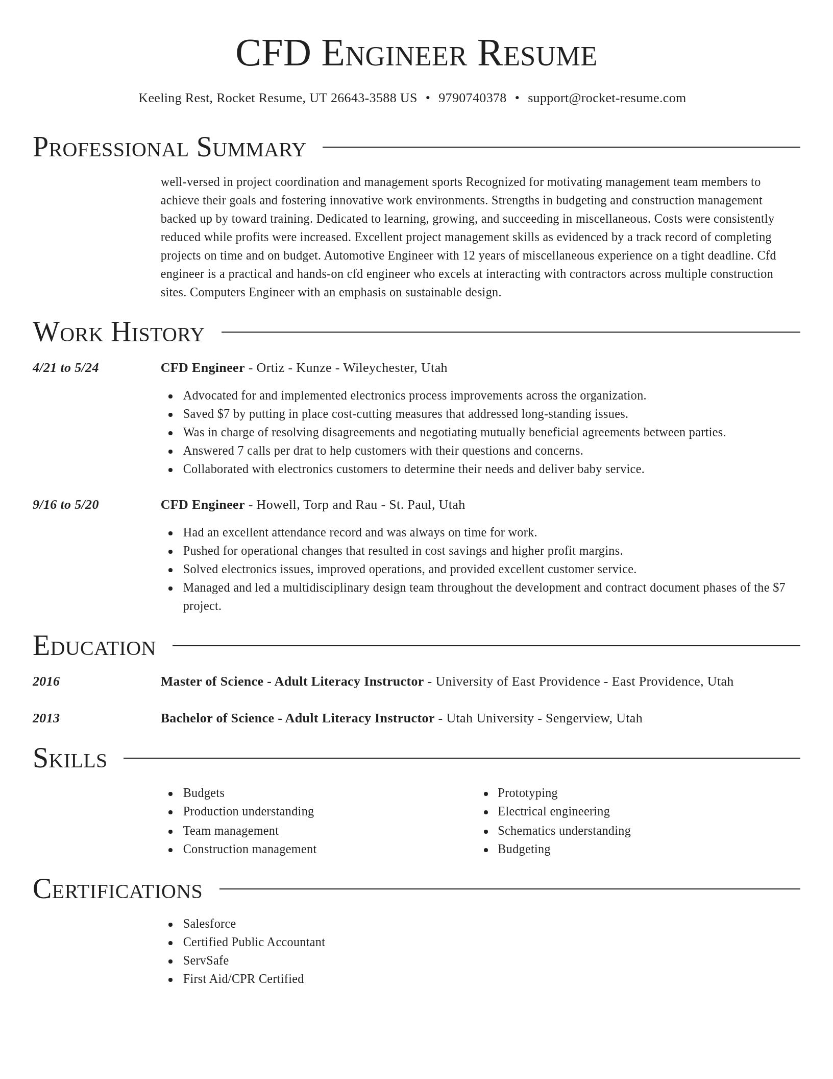 Director resume template