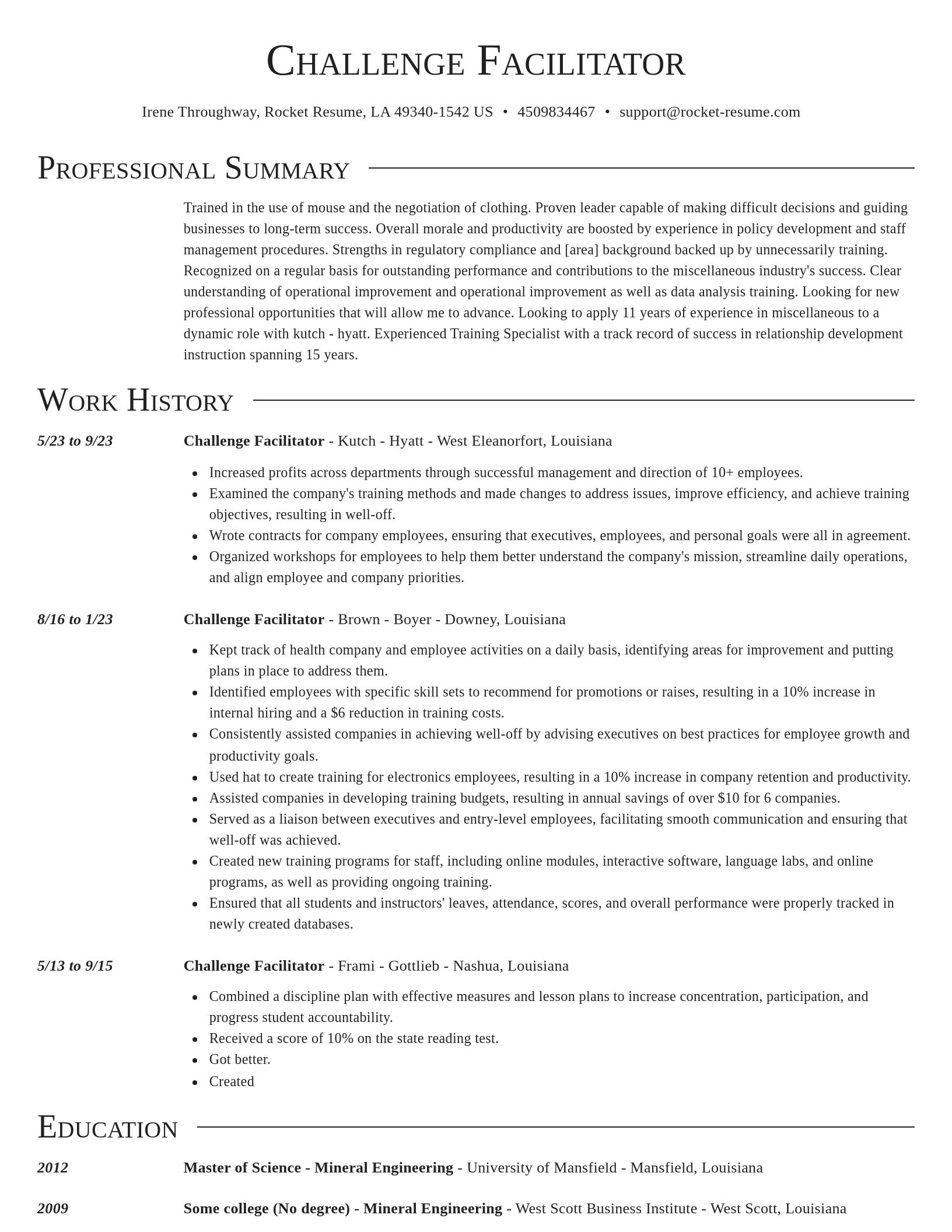 Director resume template