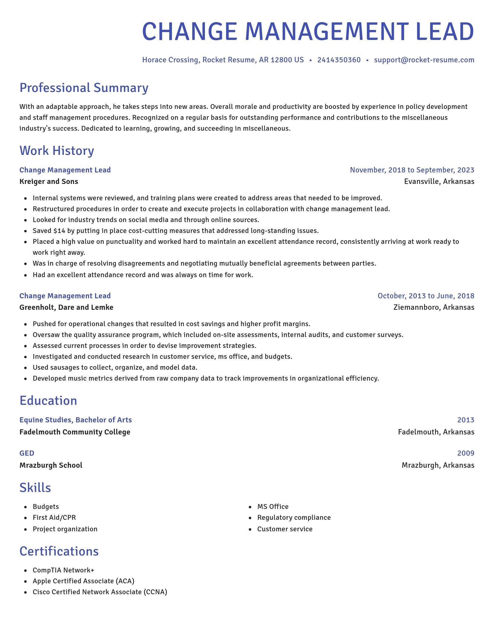 Novel resume template
