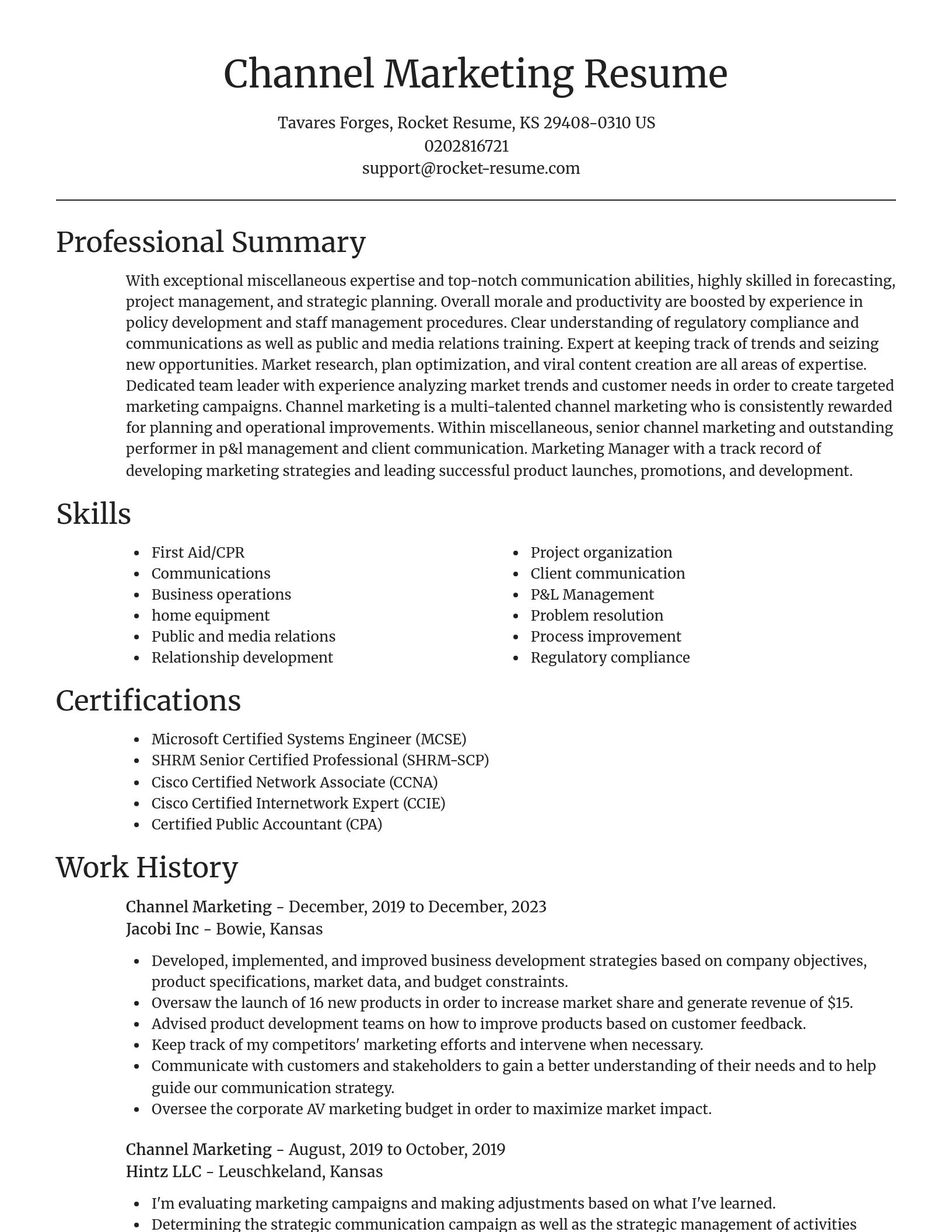 Focal Point resume template