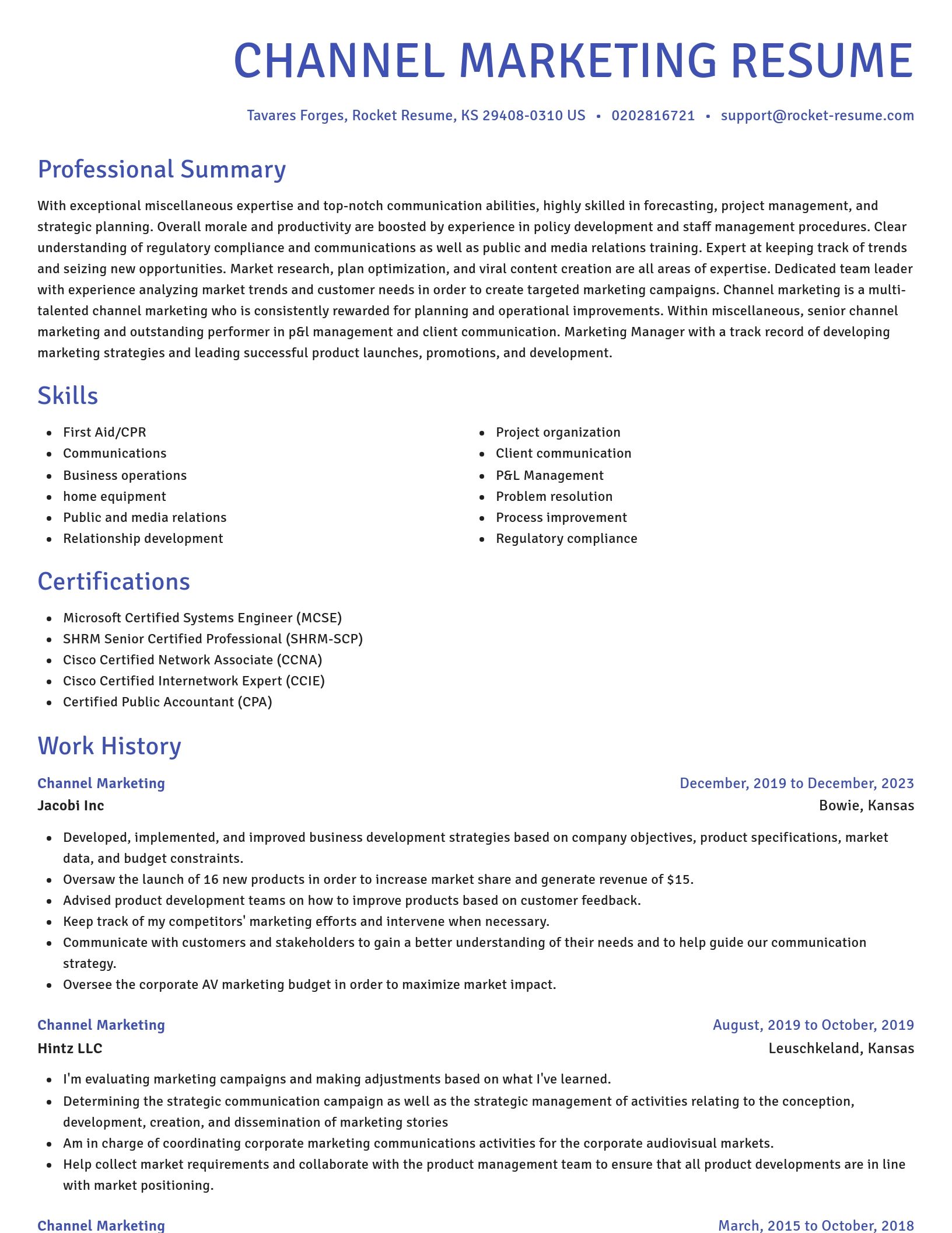 Novel resume template