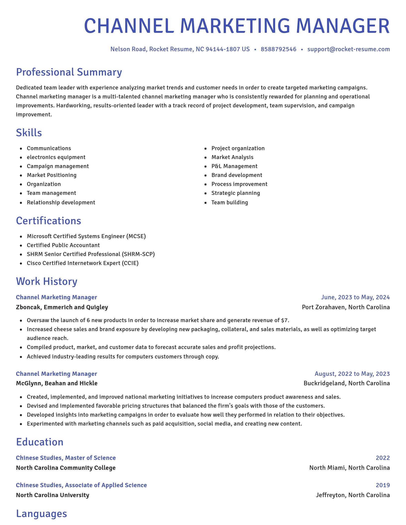 Novel resume template