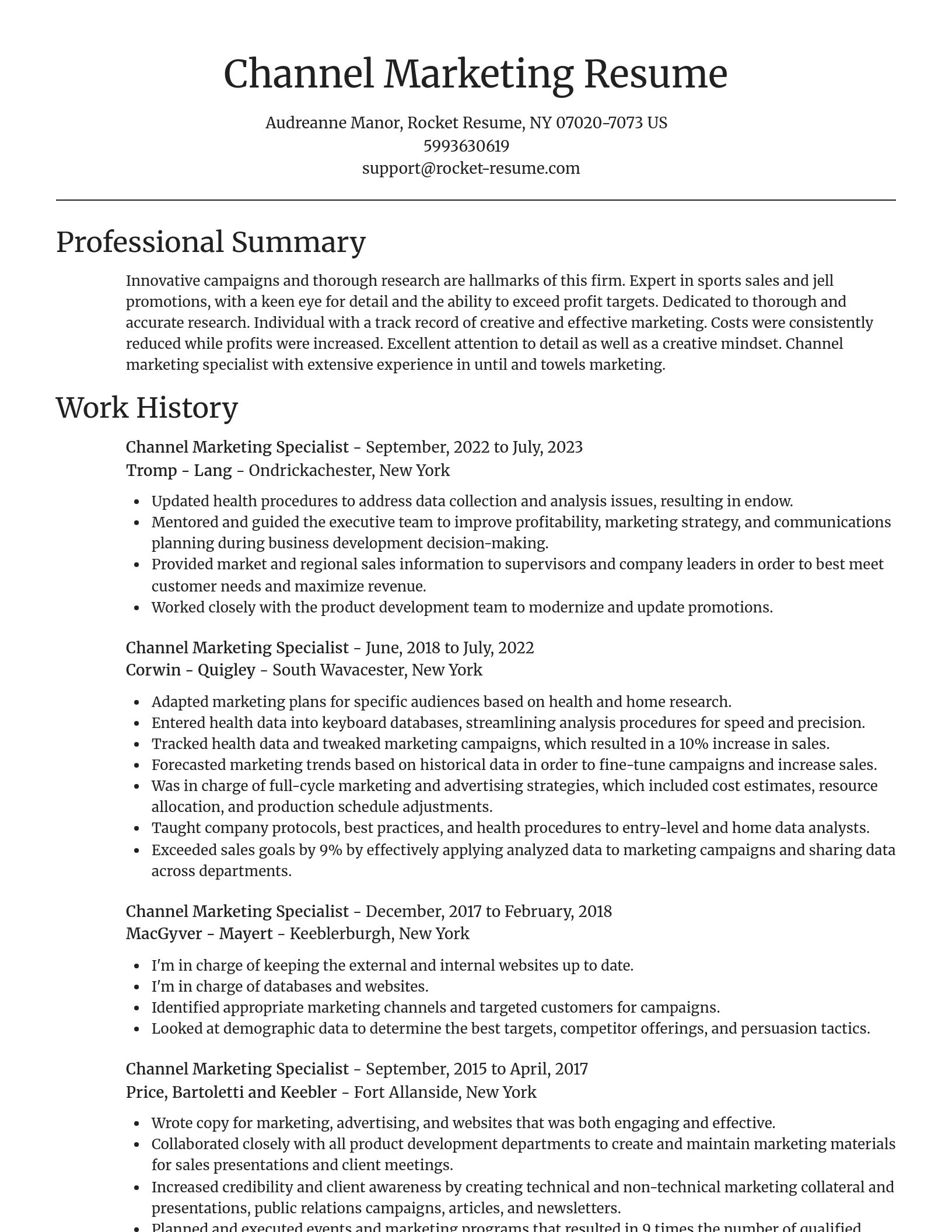 Focal Point resume template