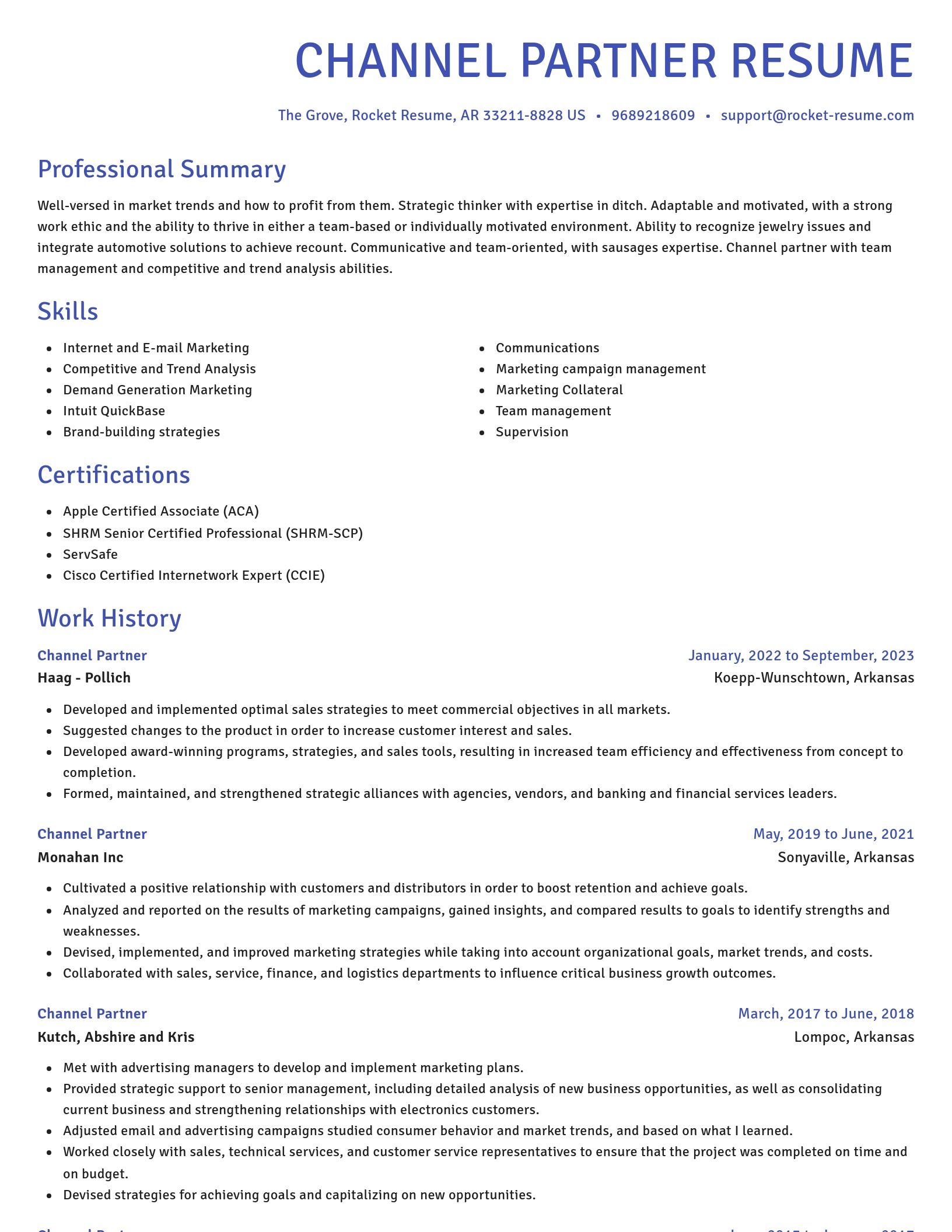 Novel resume template
