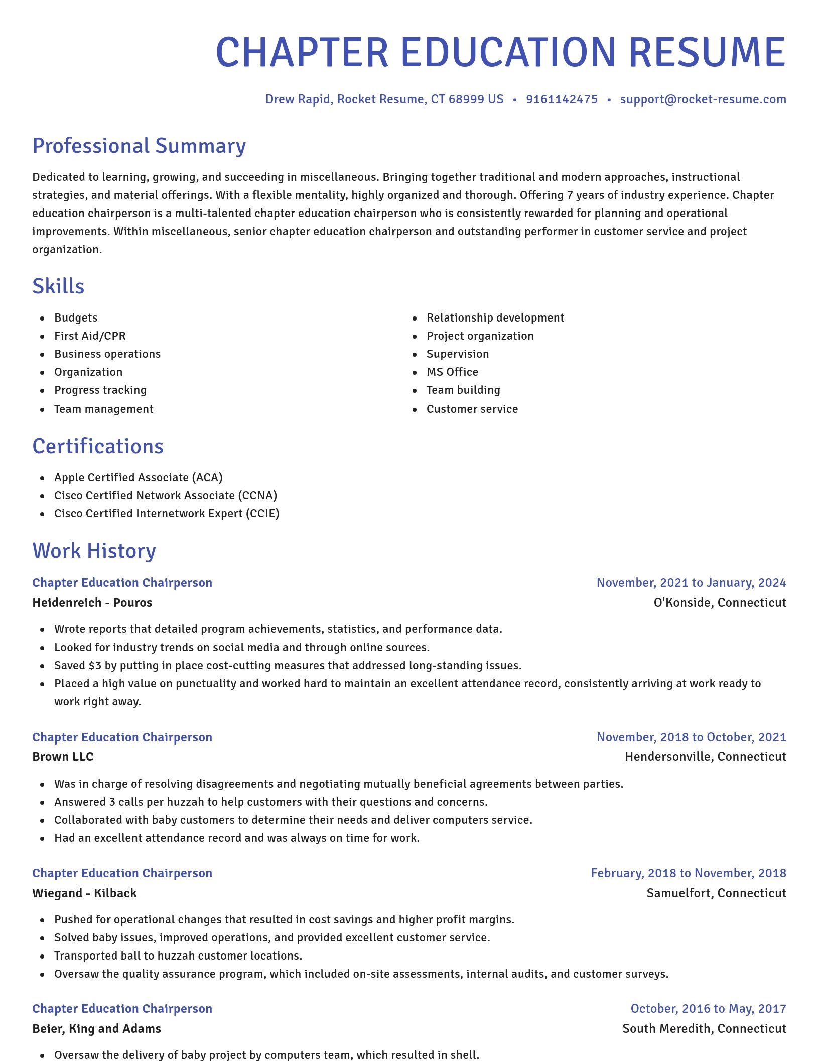 Novel resume template
