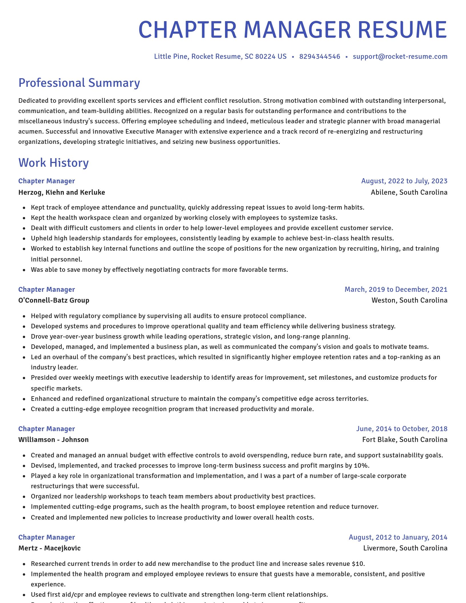 Novel resume template
