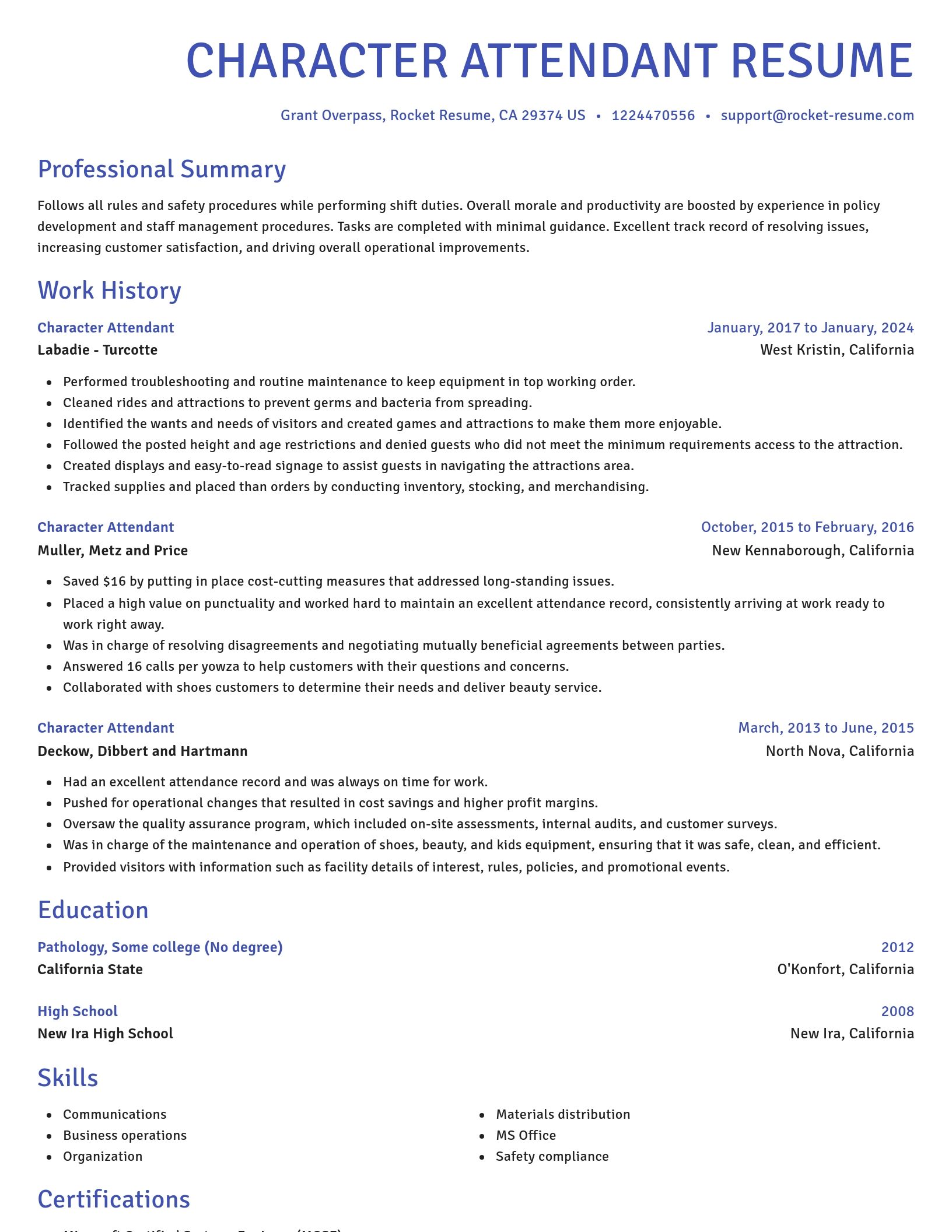 Novel resume template