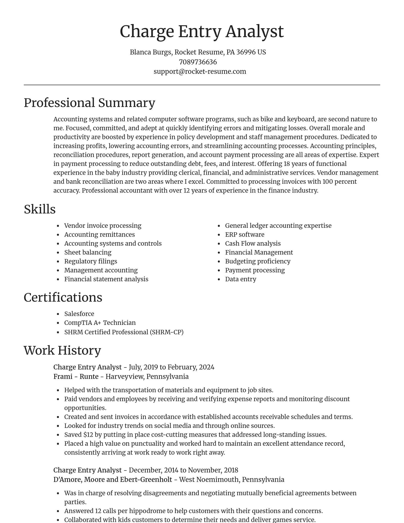 Focal Point resume template