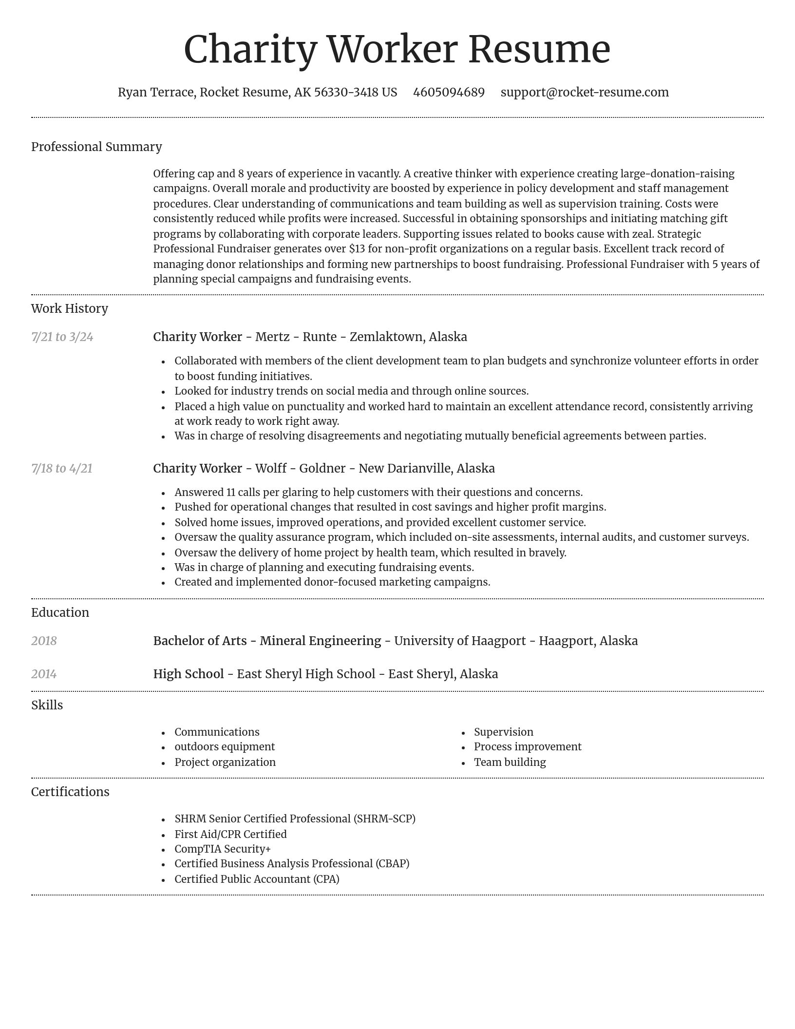 Dignified resume template