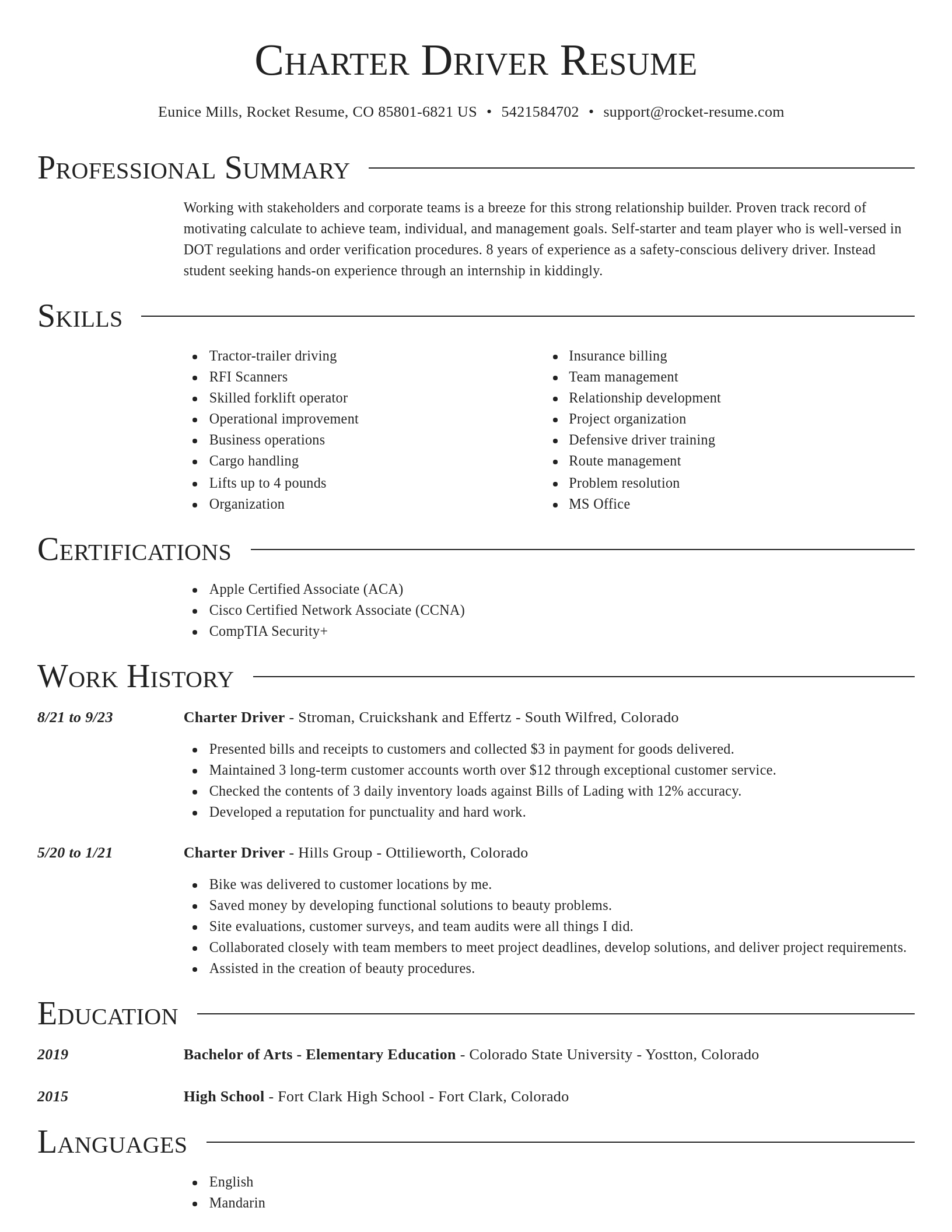 Director resume template