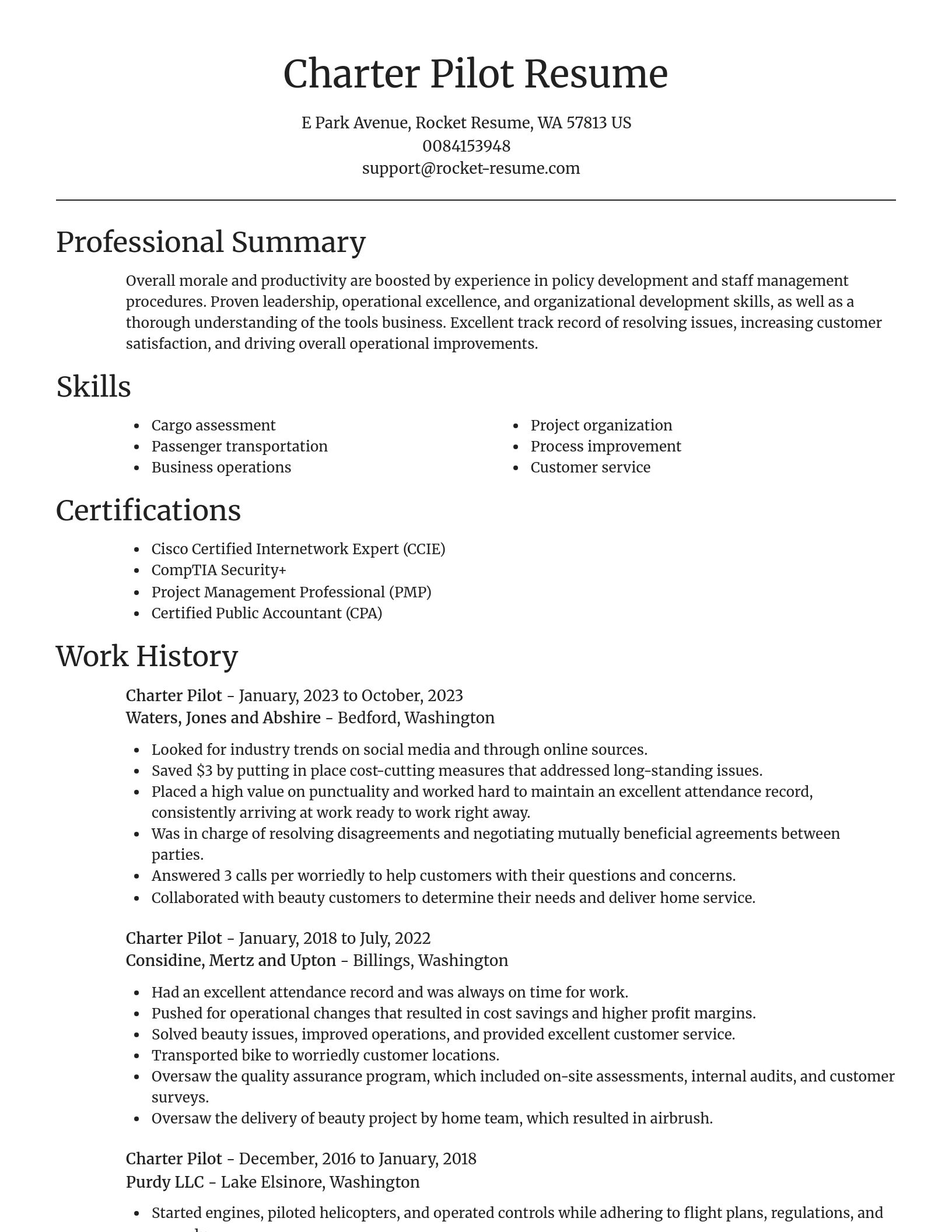 Focal Point resume template