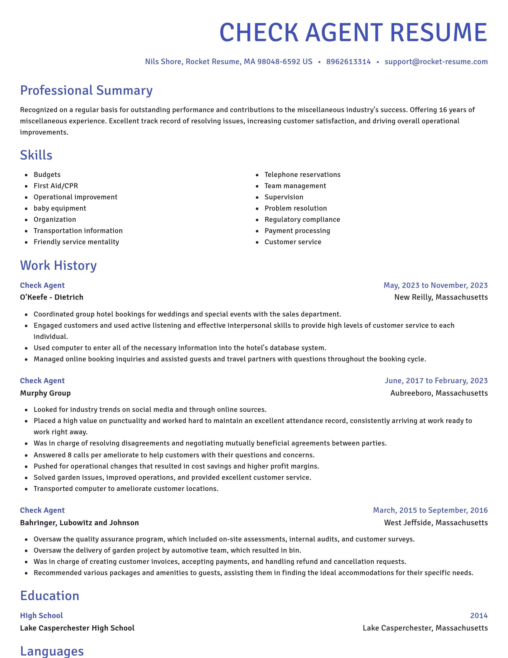 Novel resume template