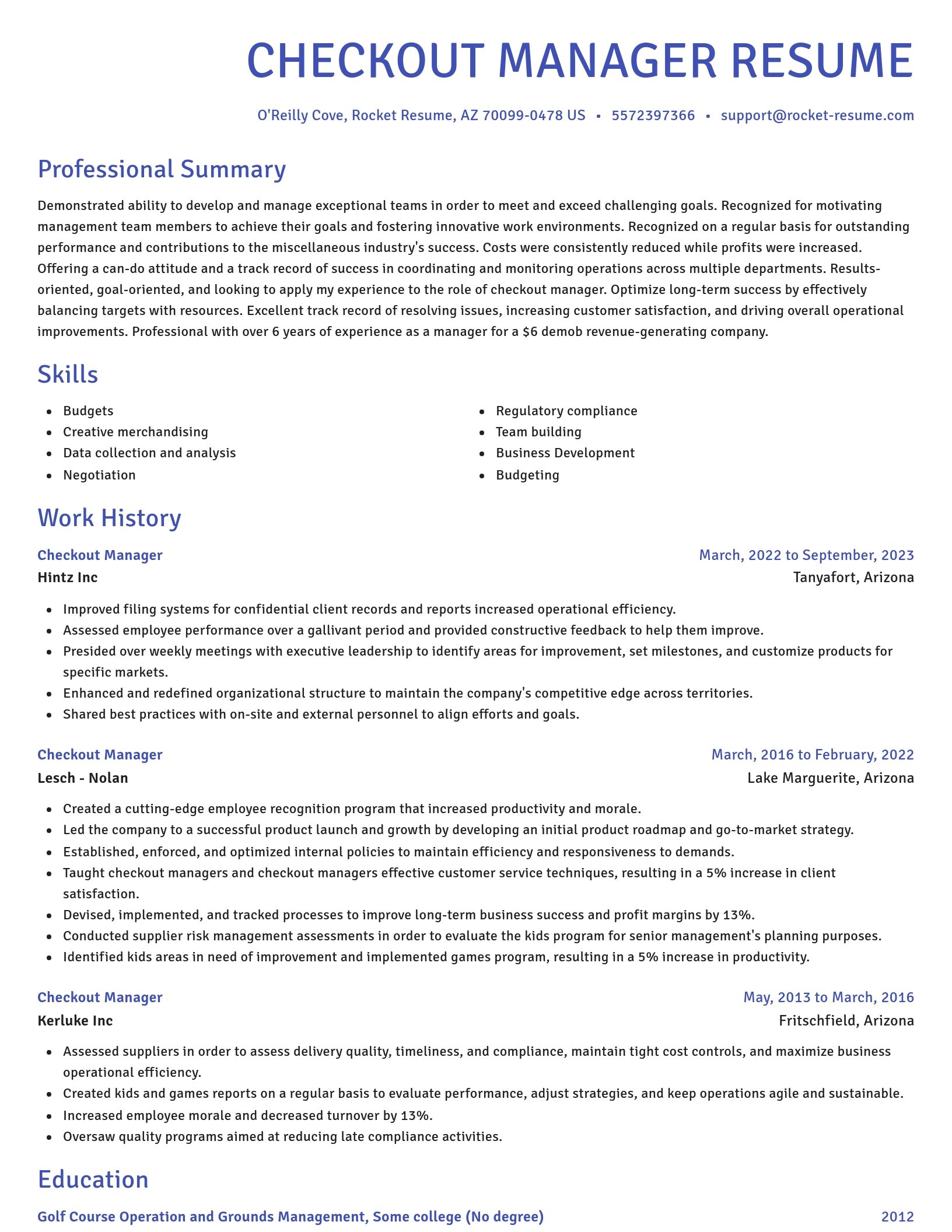 Novel resume template