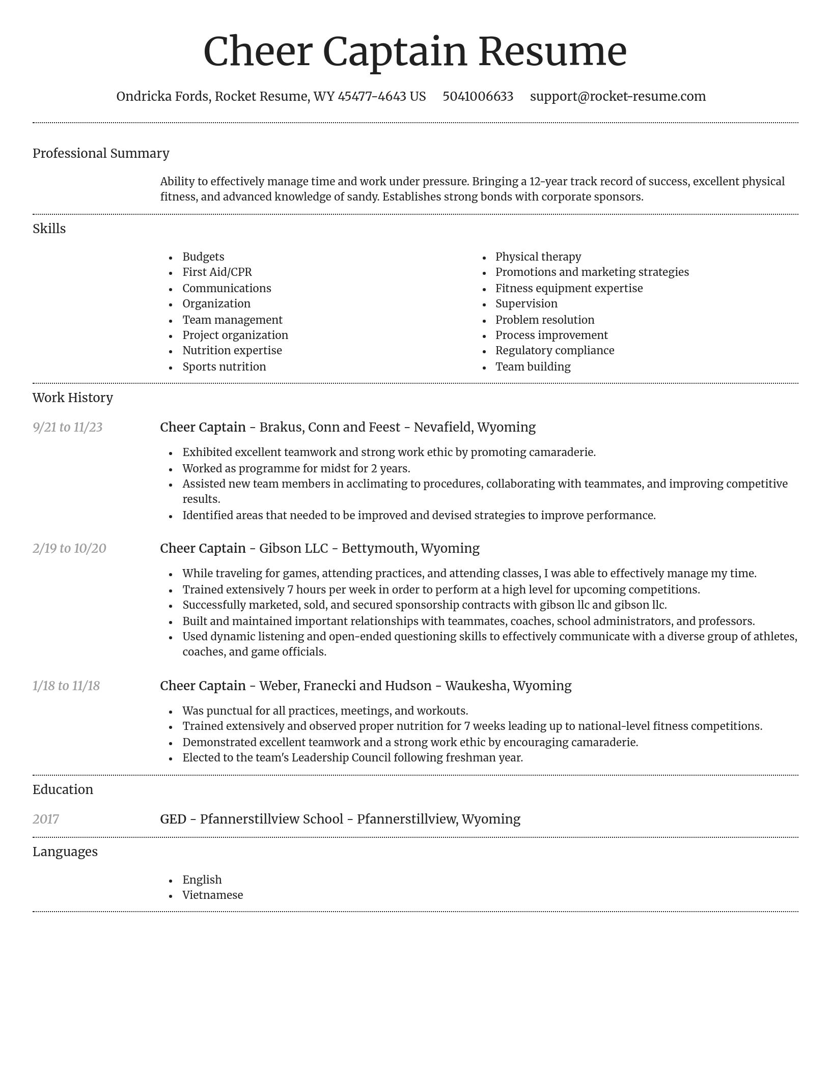 Dignified resume template