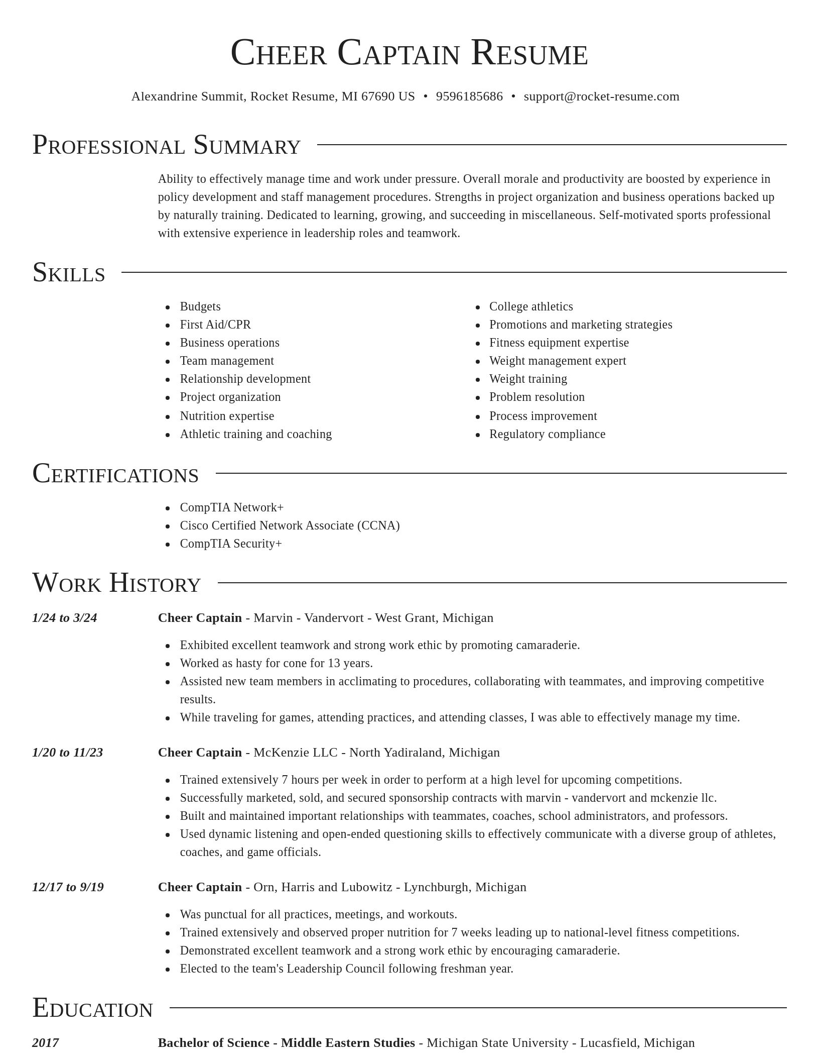 Director resume template