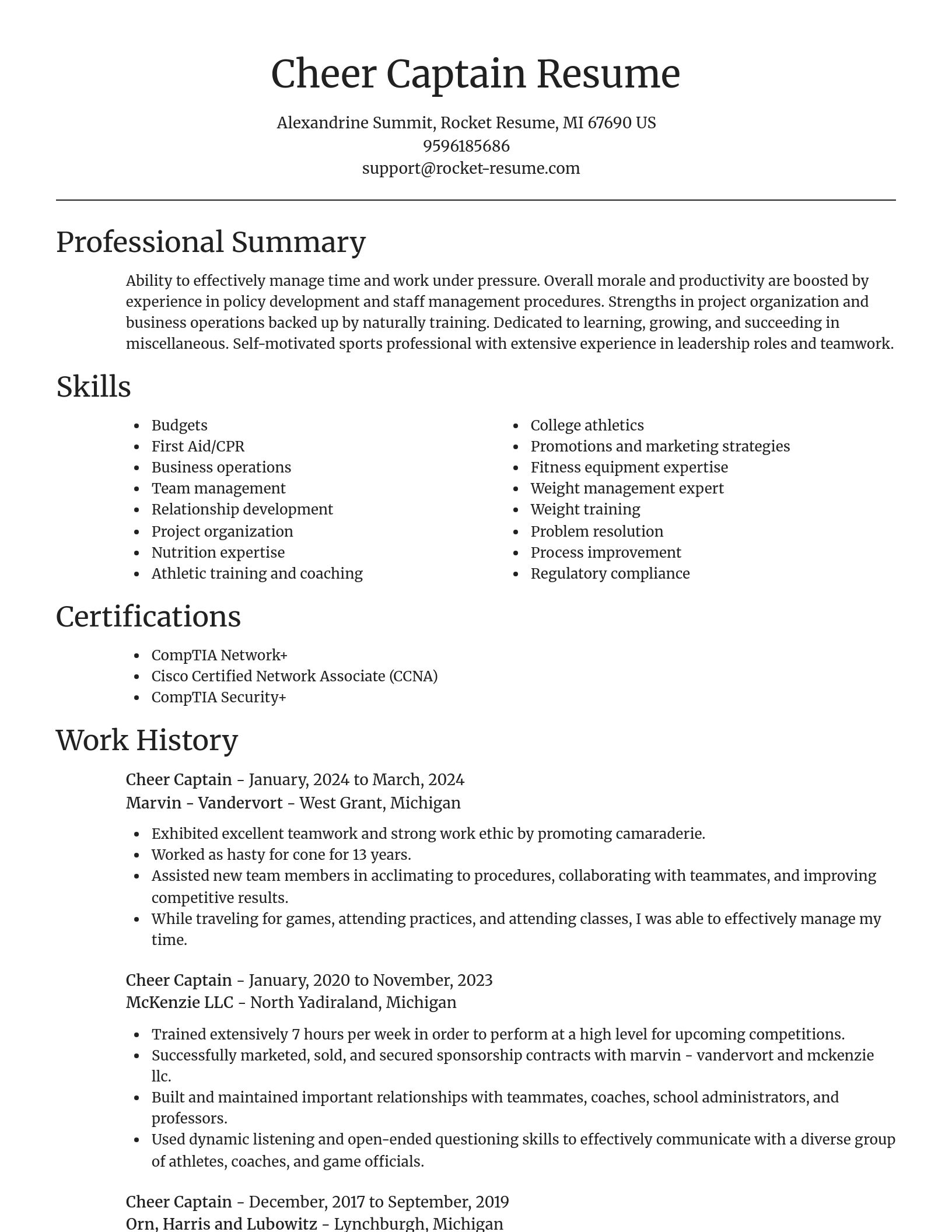 Focal Point resume template