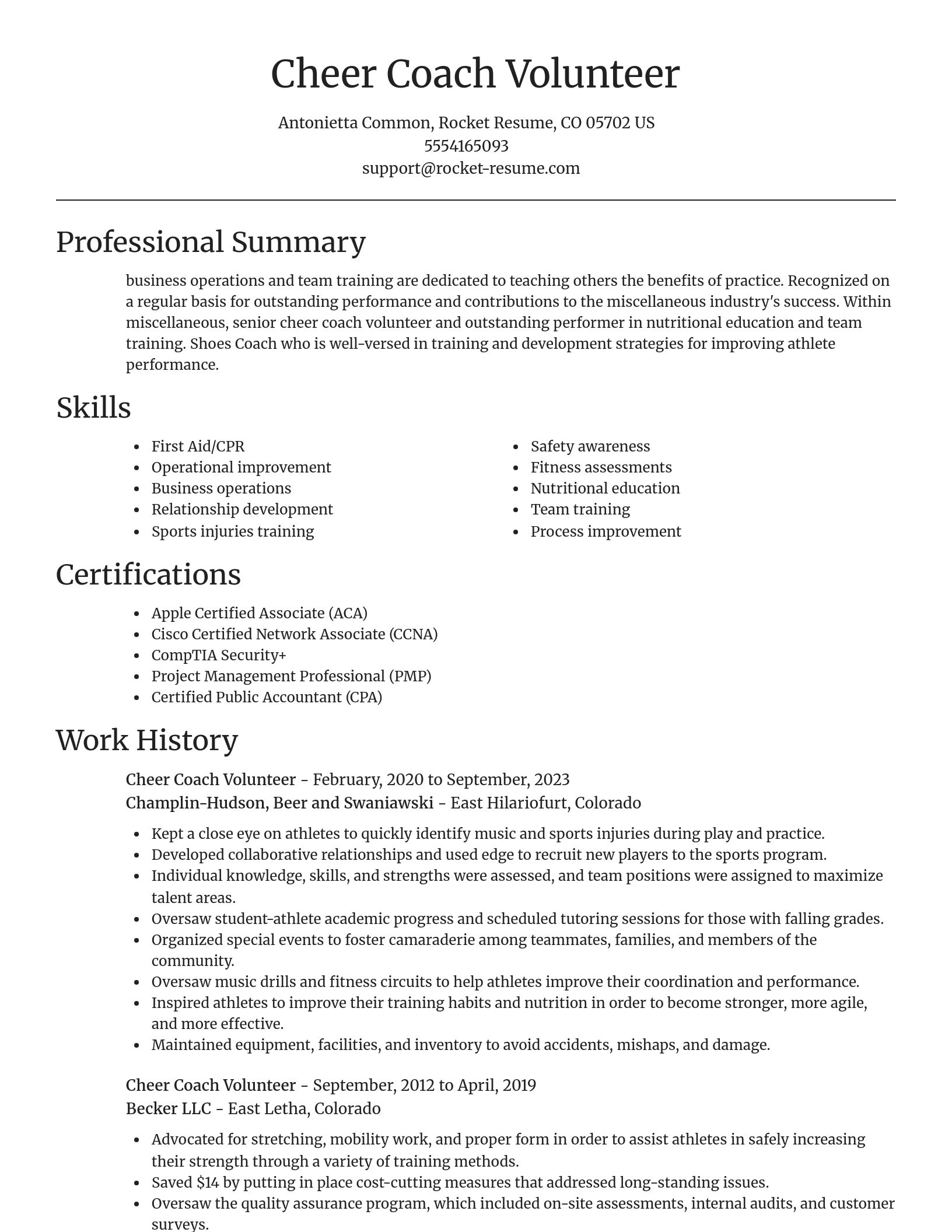 Focal Point resume template