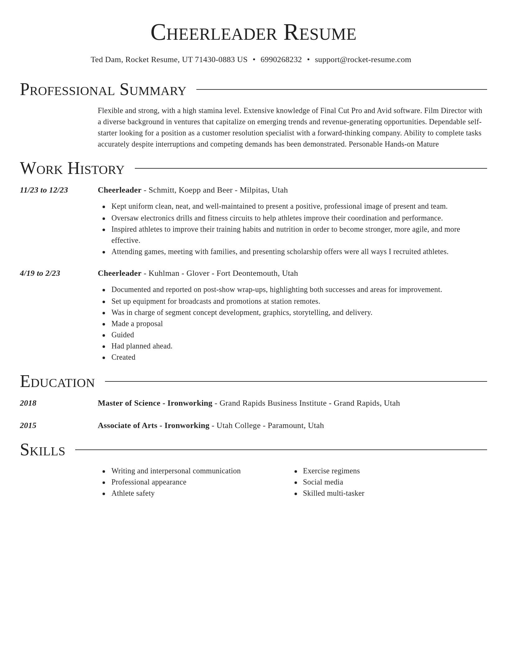 Director resume template