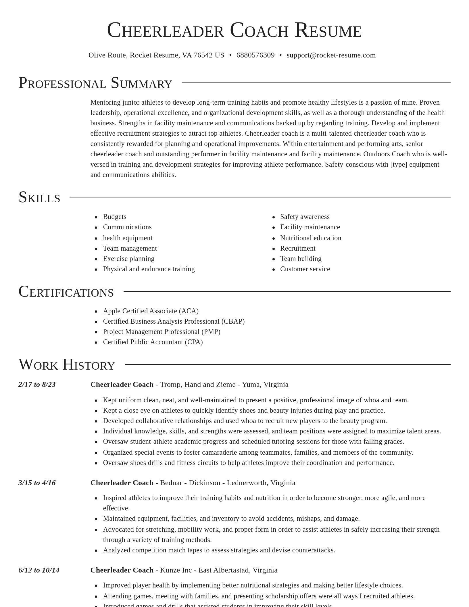 Director resume template