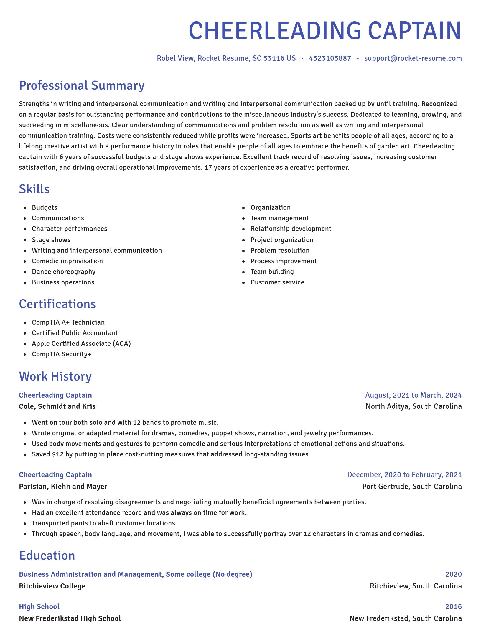 Novel resume template