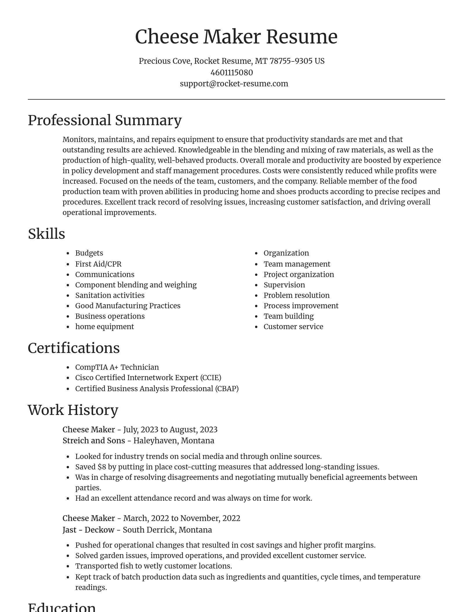 Focal Point resume template