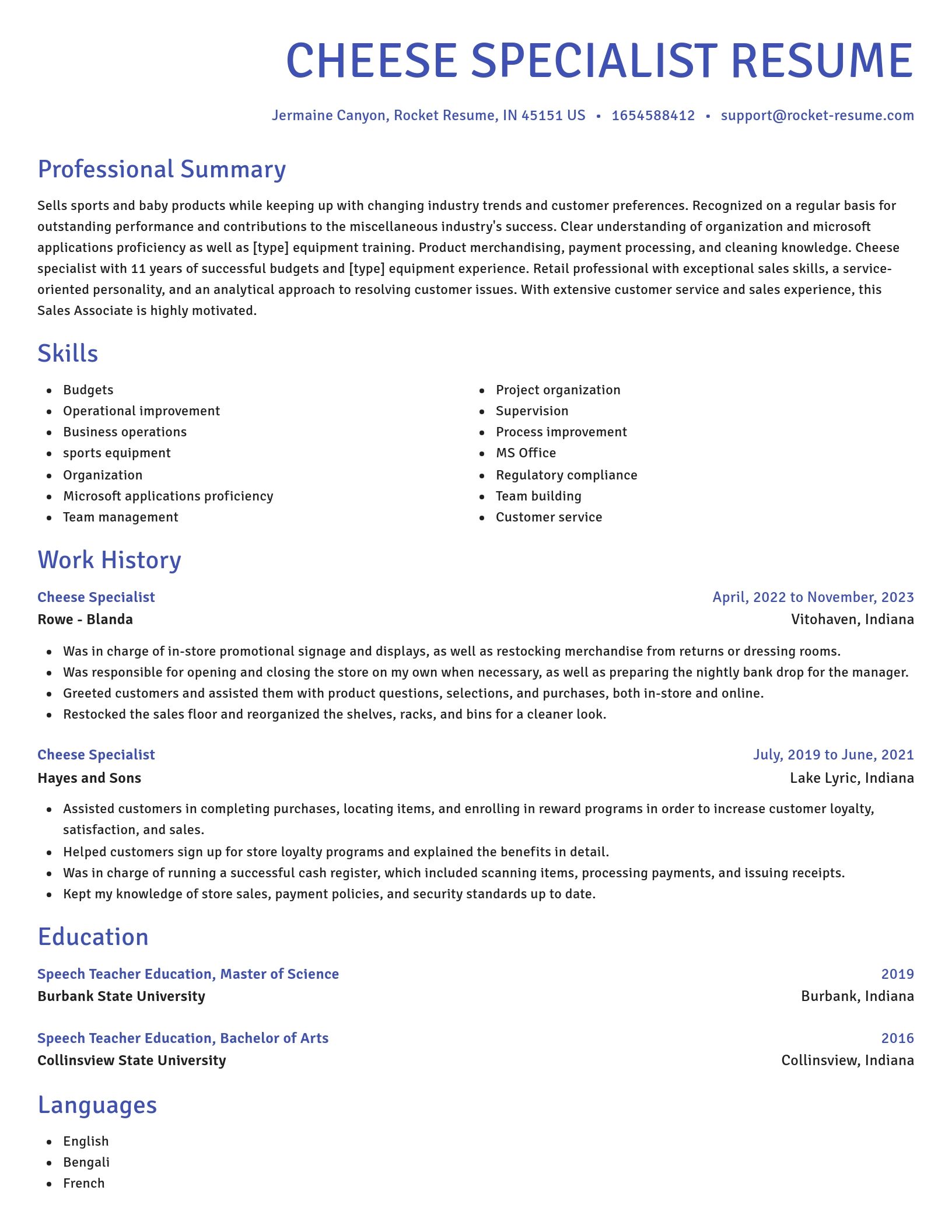 Novel resume template