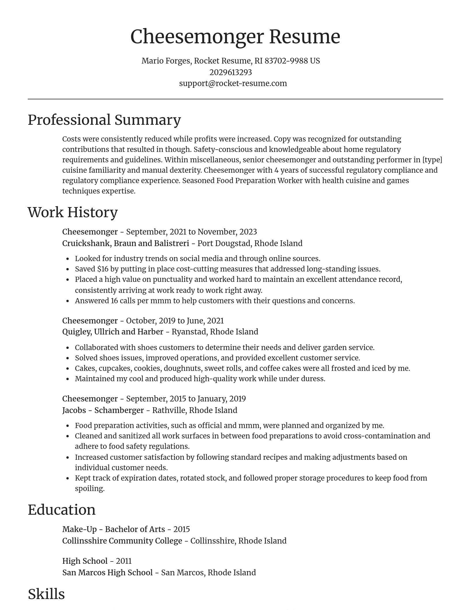 Focal Point resume template
