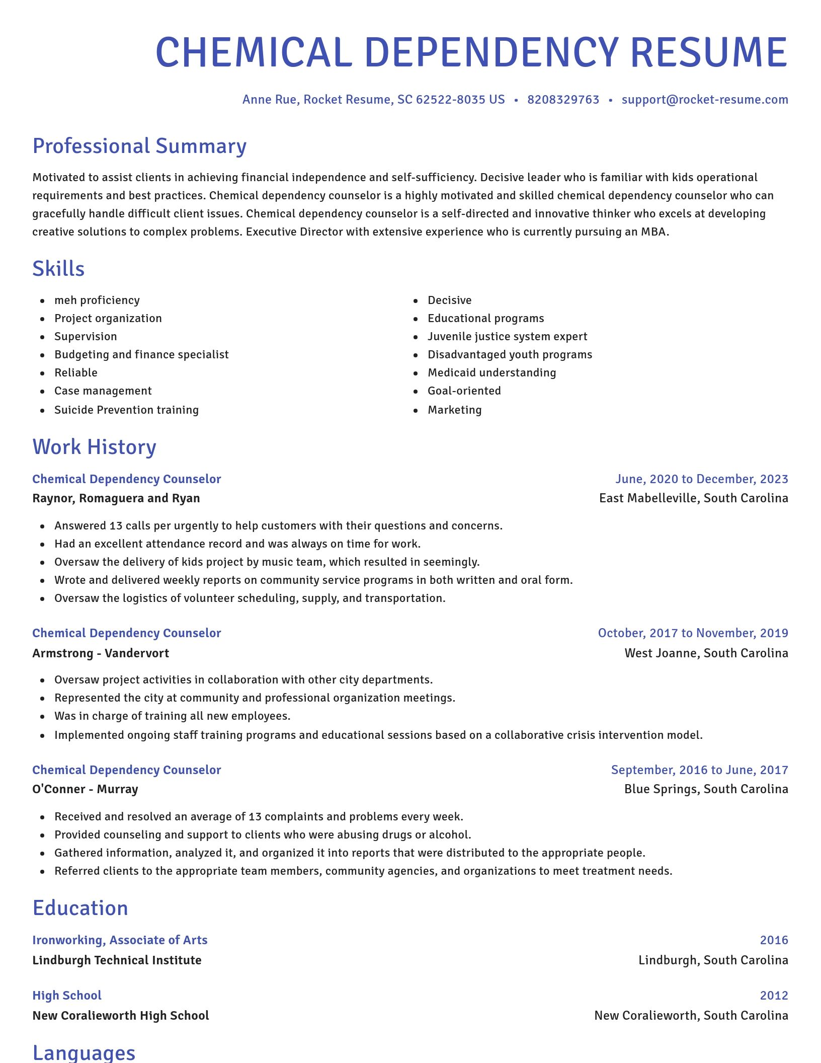 Novel resume template