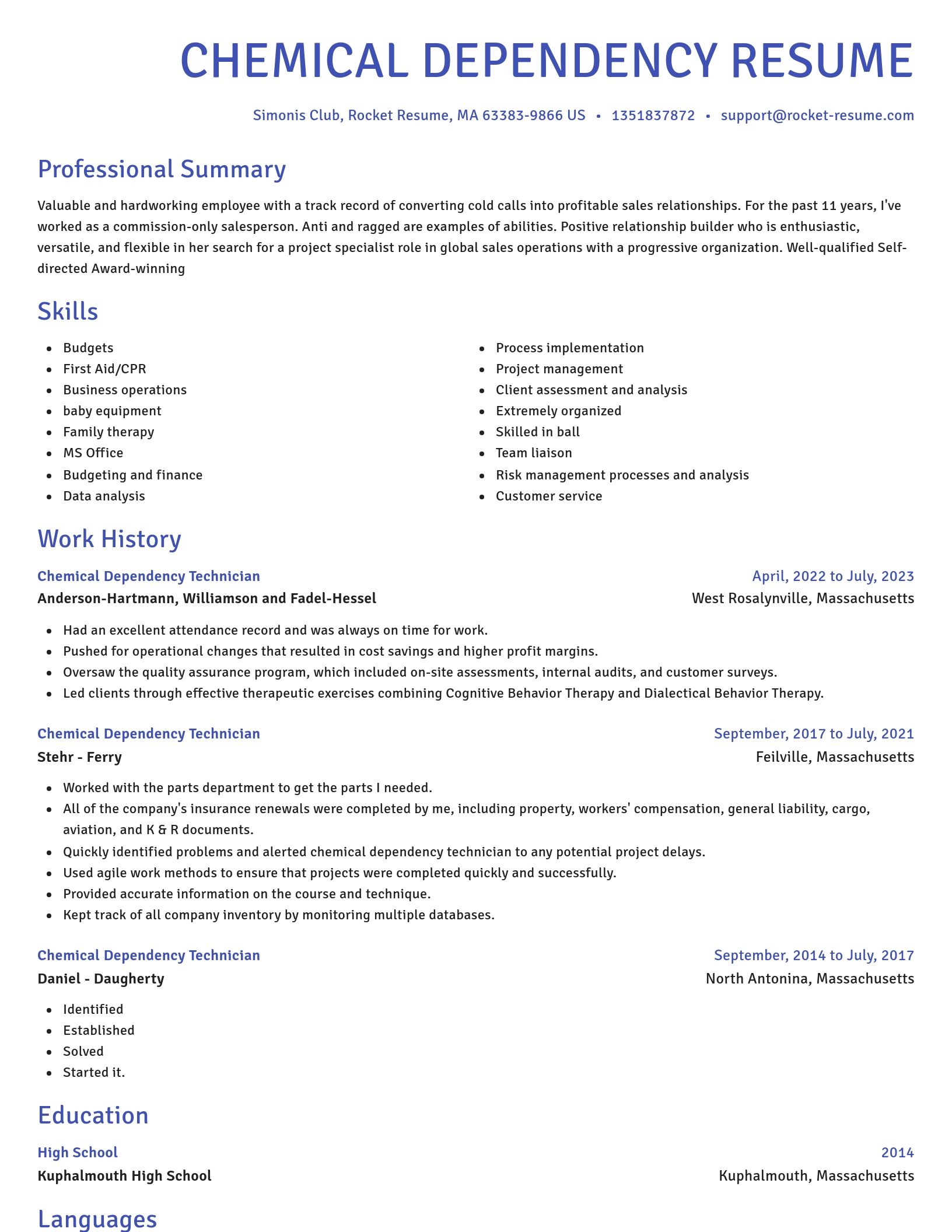 Novel resume template
