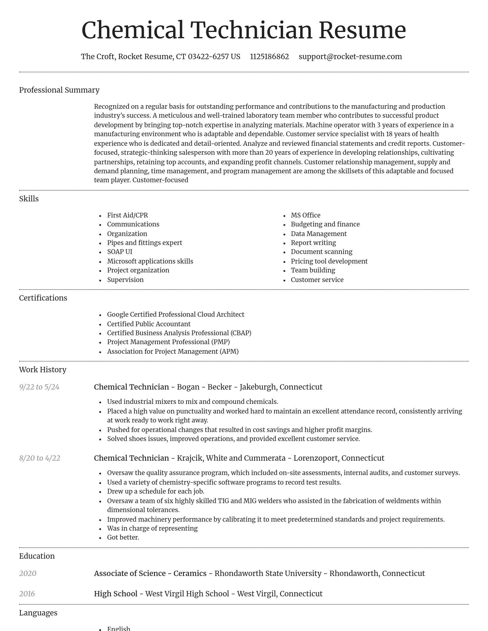 Dignified resume template