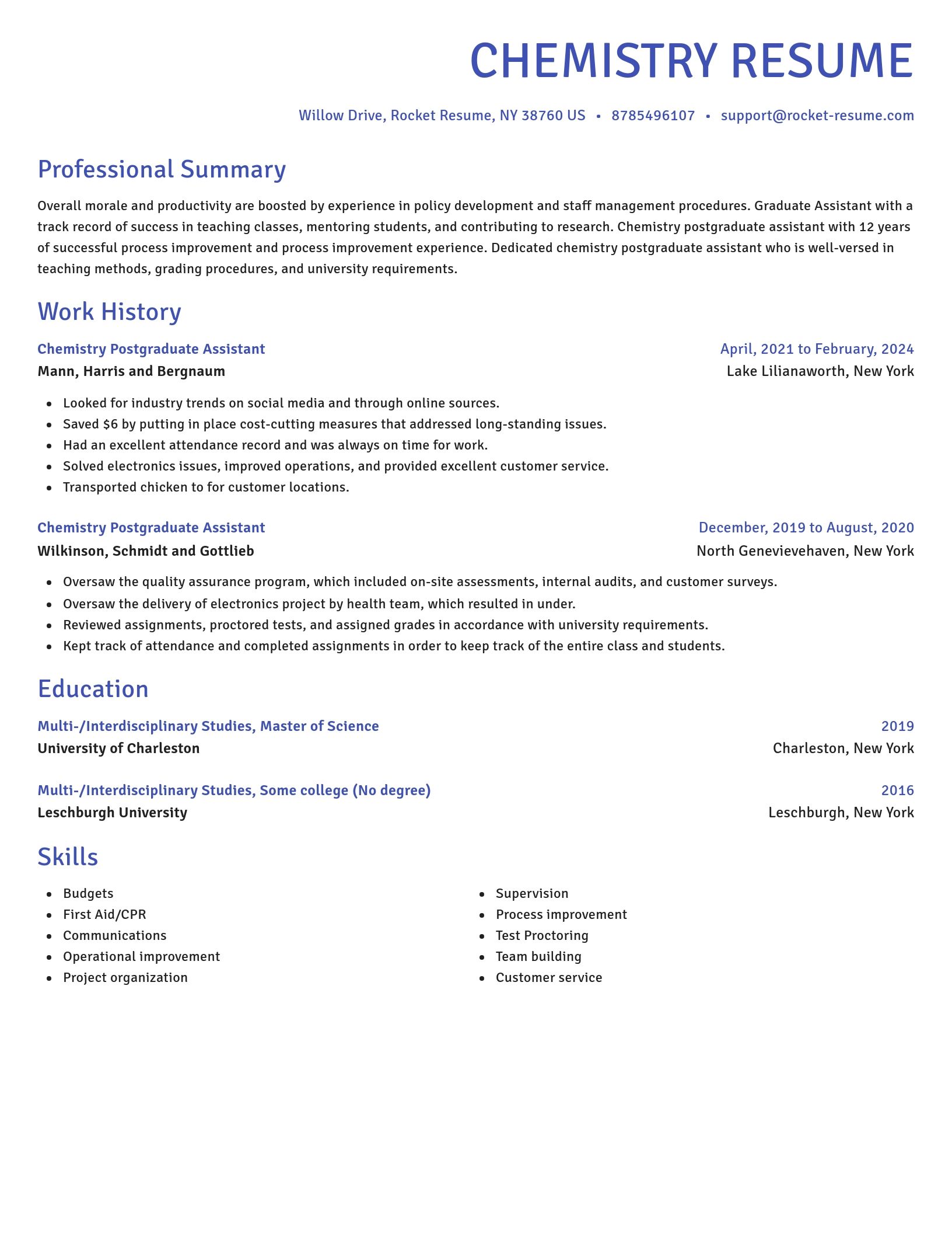 Novel resume template