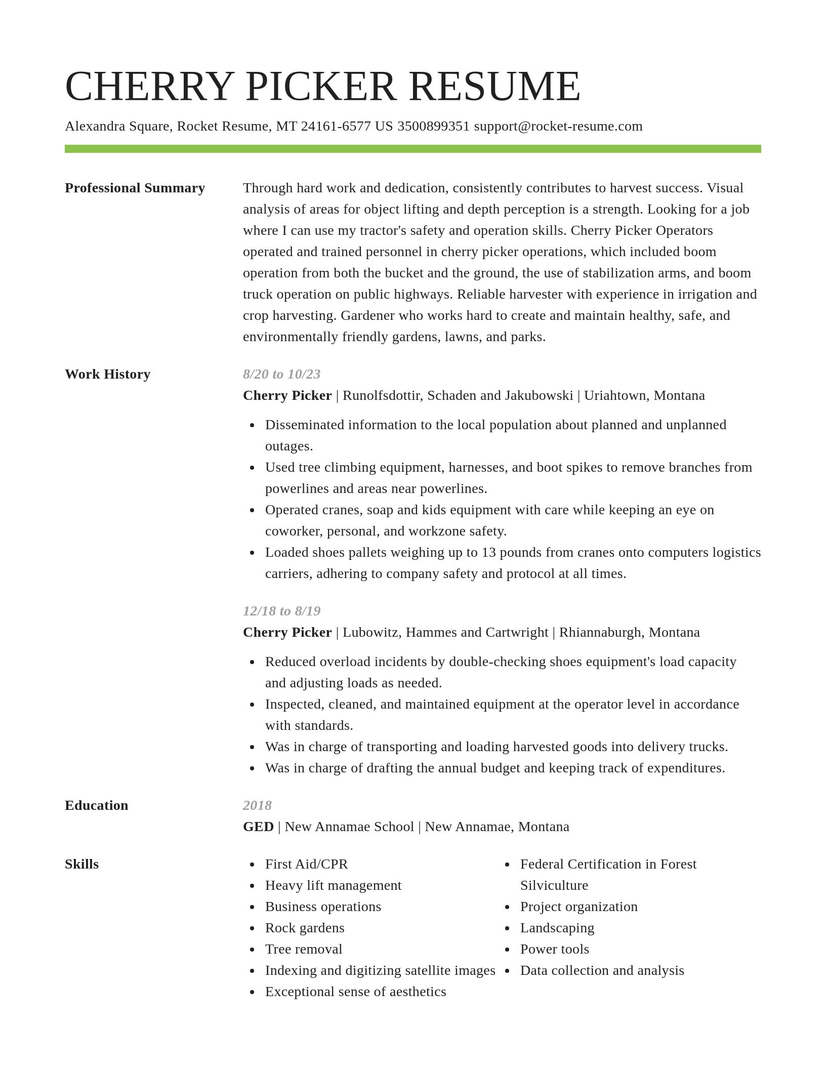 Smart resume template