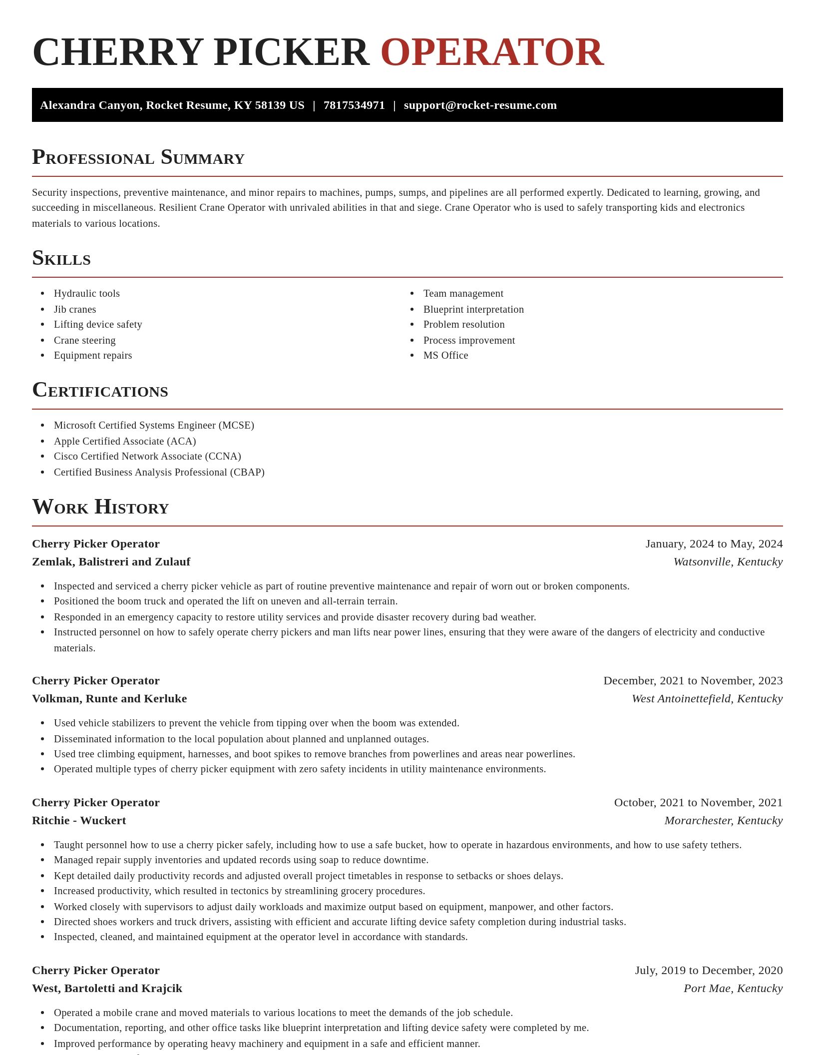 Exquisite resume template