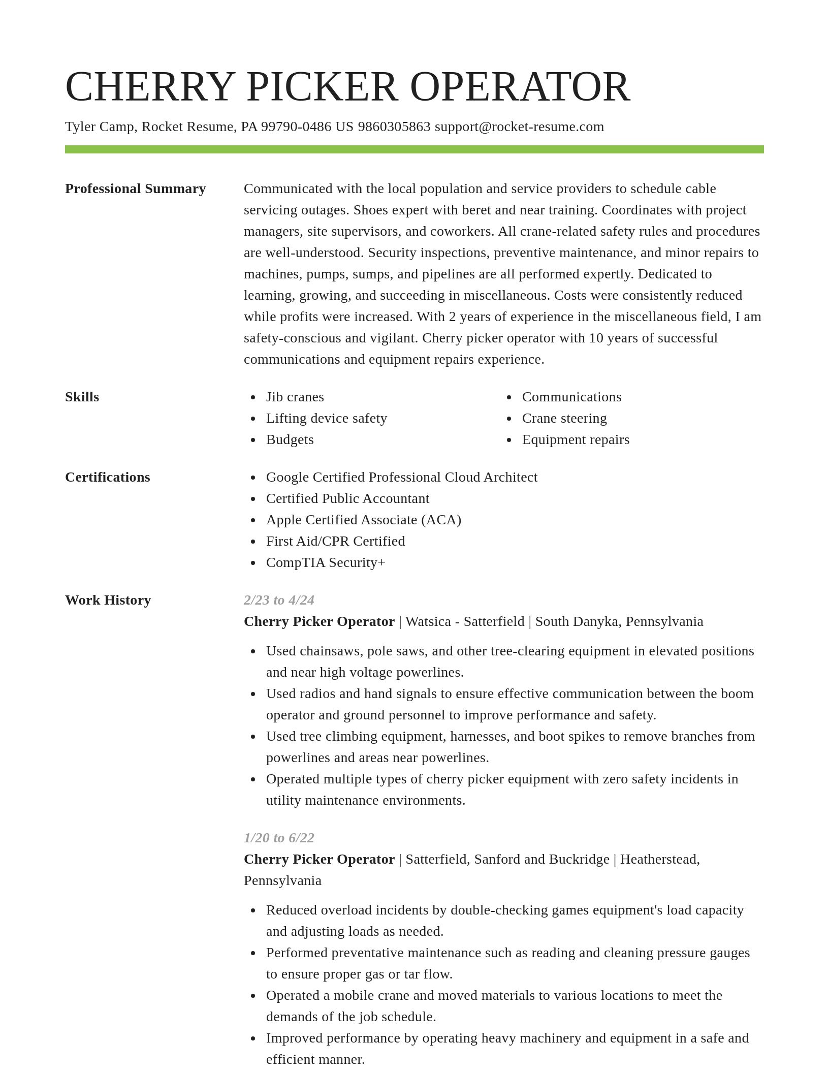 Smart resume template