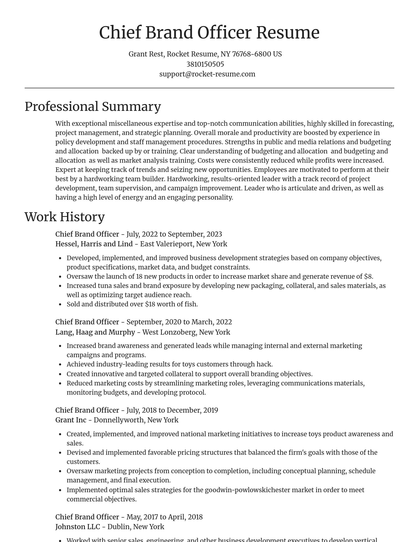 Focal Point resume template