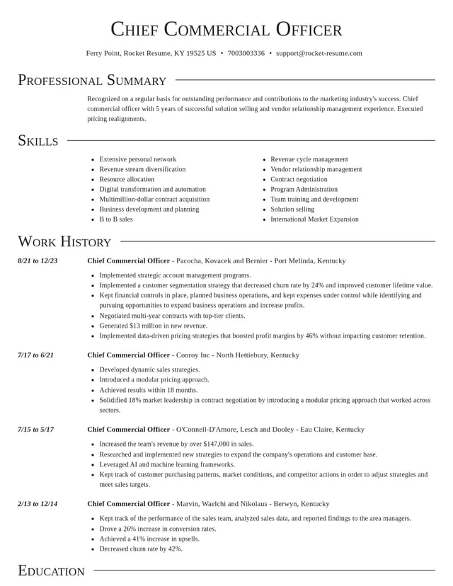 Director resume template