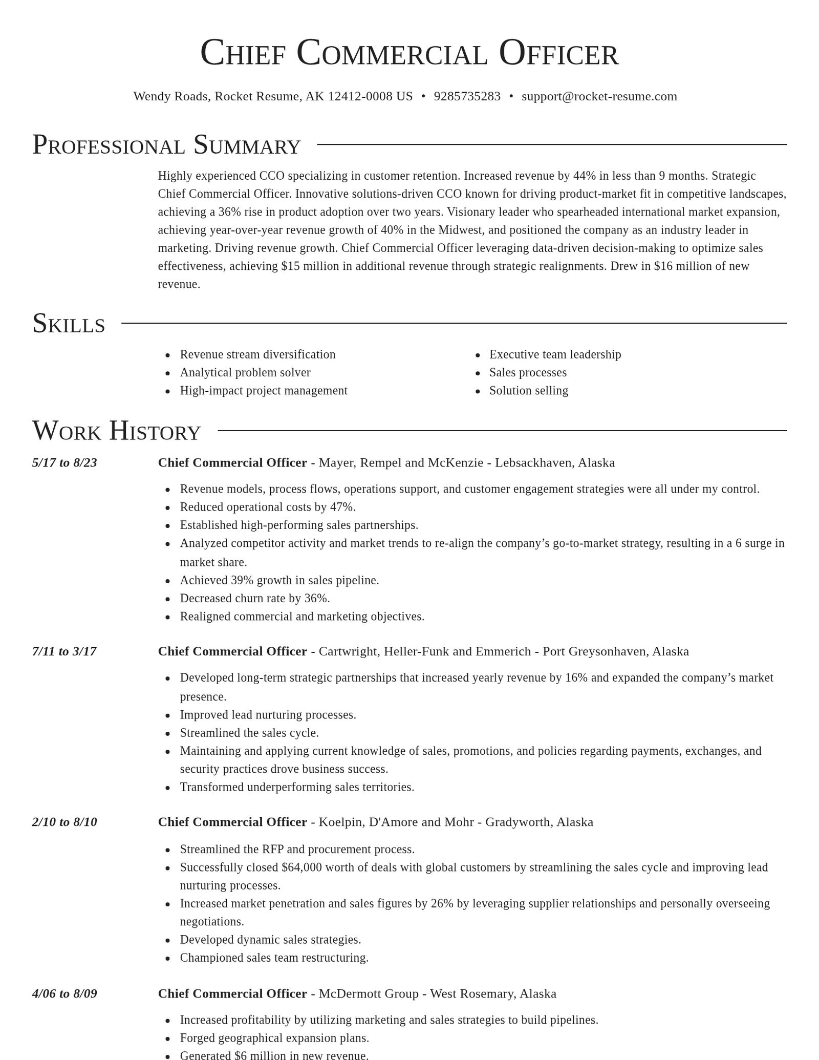 Director resume template