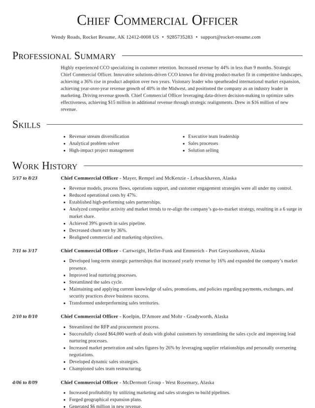 Director resume template