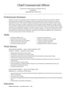 Chief Commercial Officer resume template