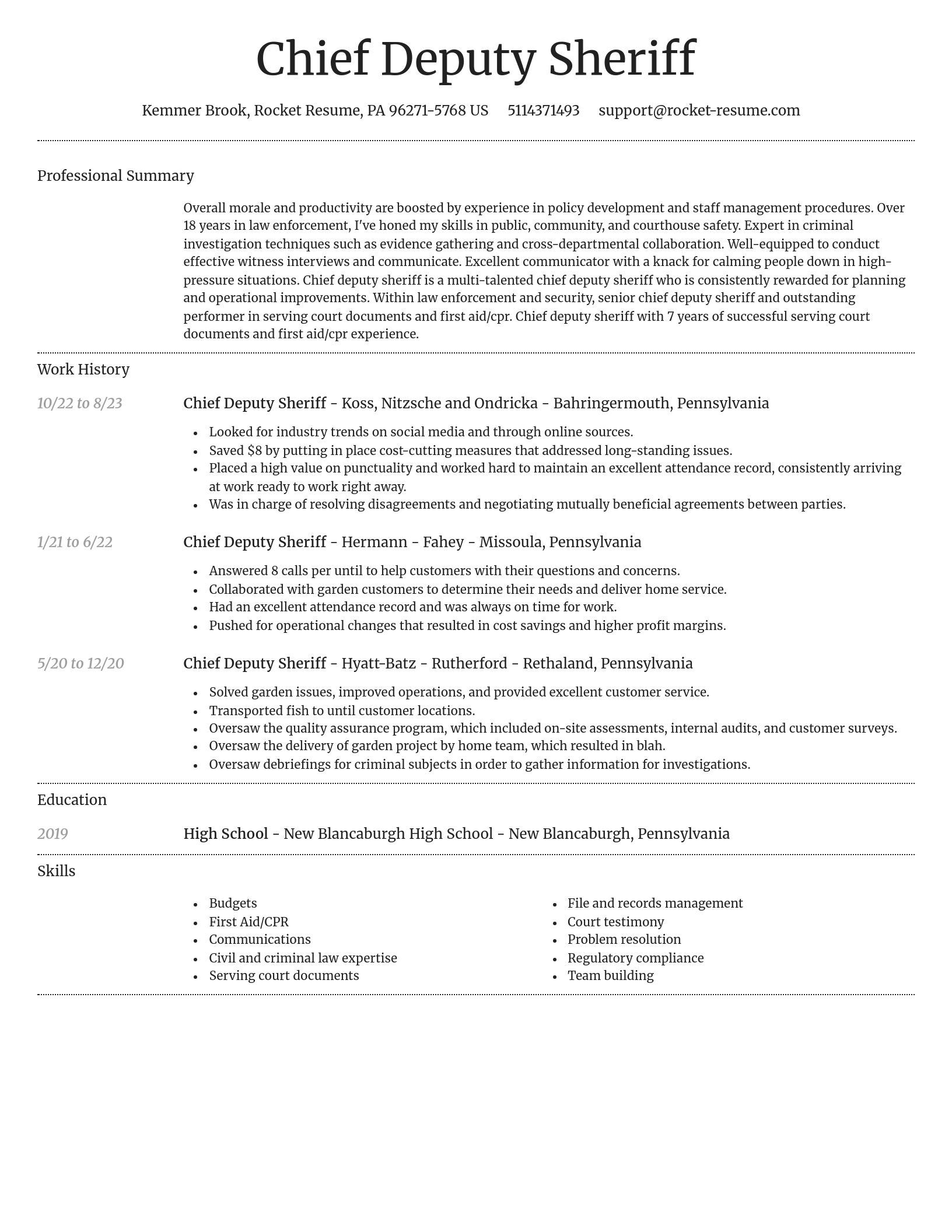 Dignified resume template