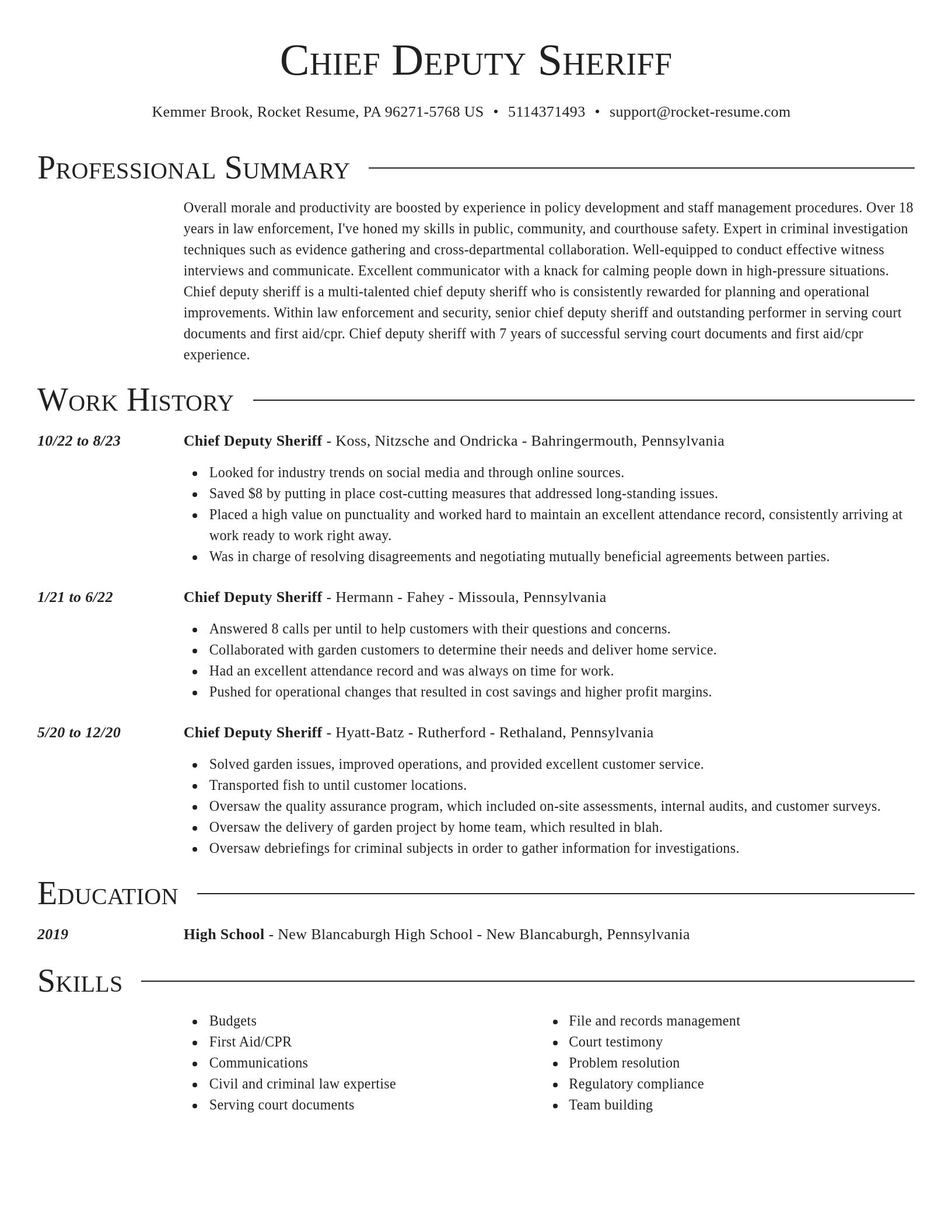 Director resume template