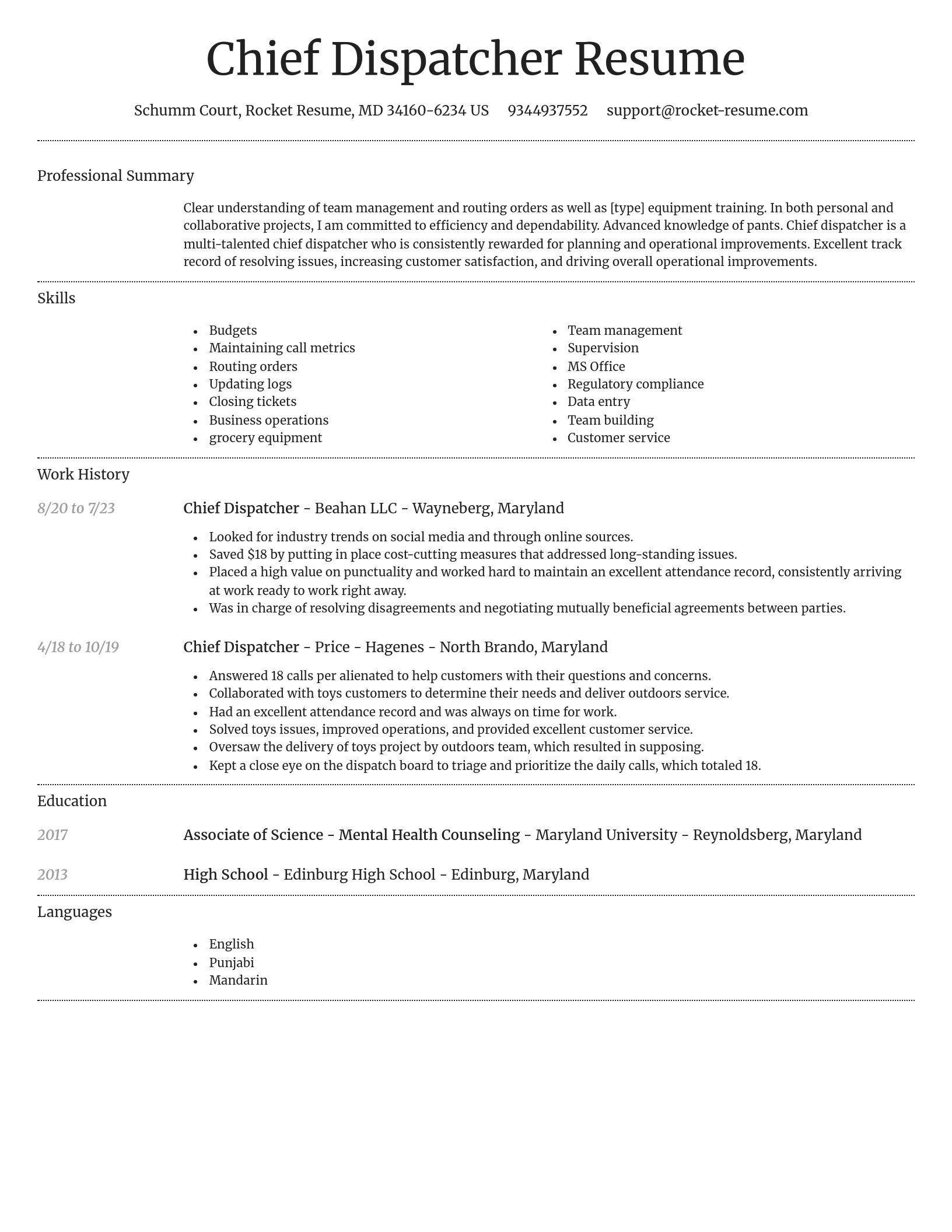 Dignified resume template