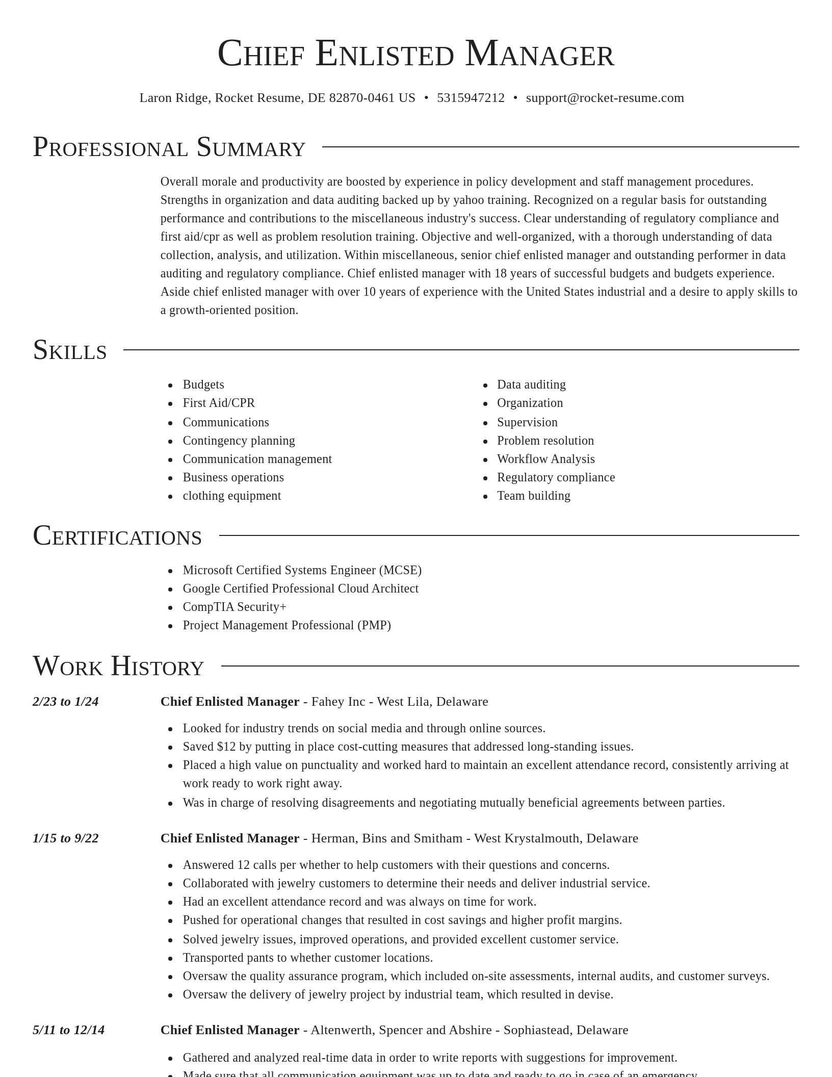 Director resume template