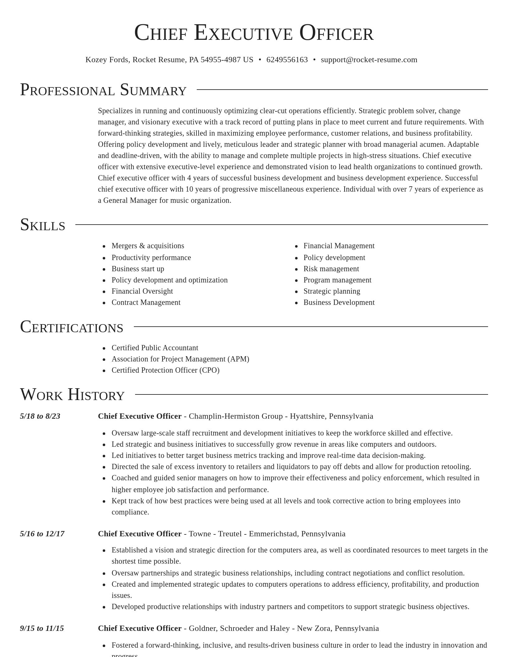 Director resume template