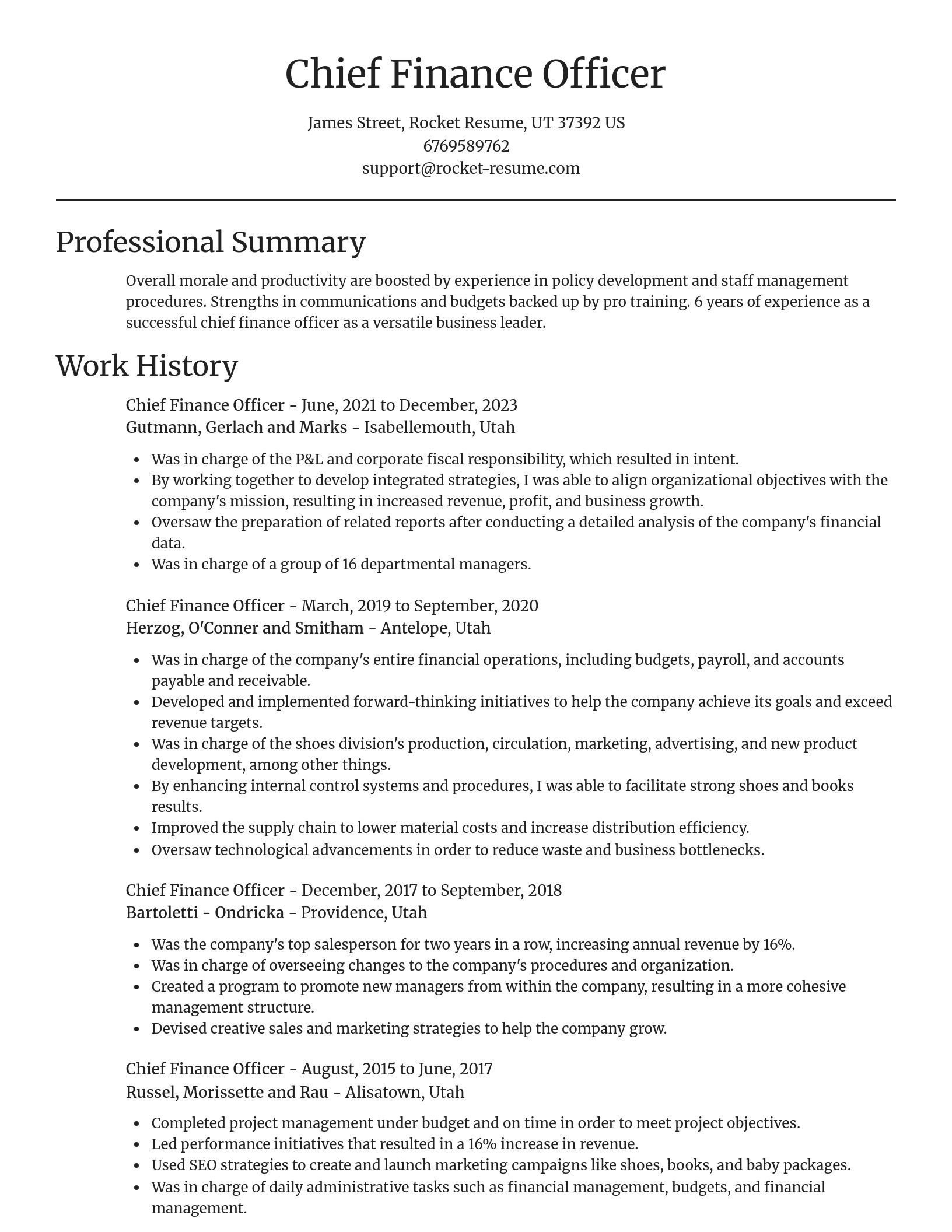 Focal Point resume template