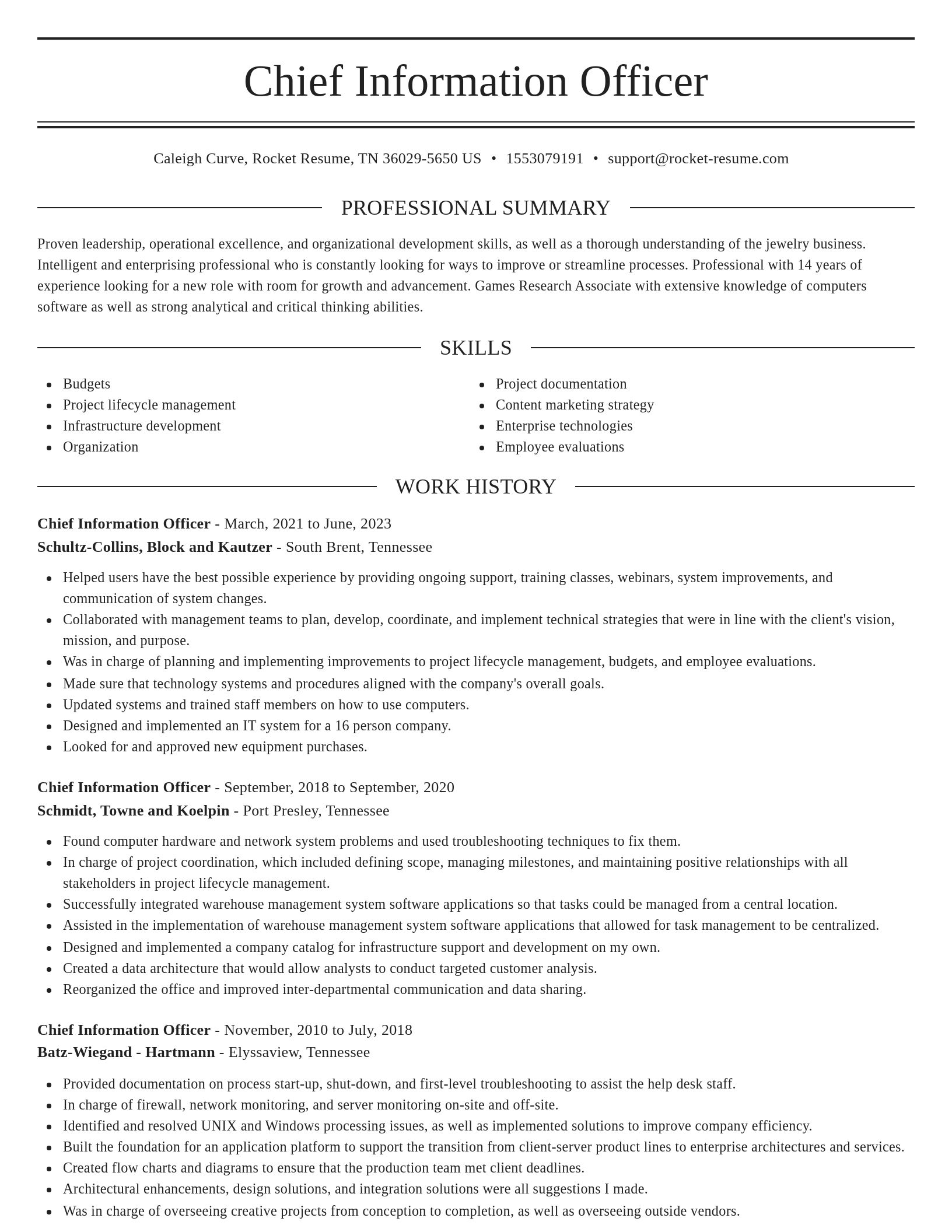 Elegant resume template