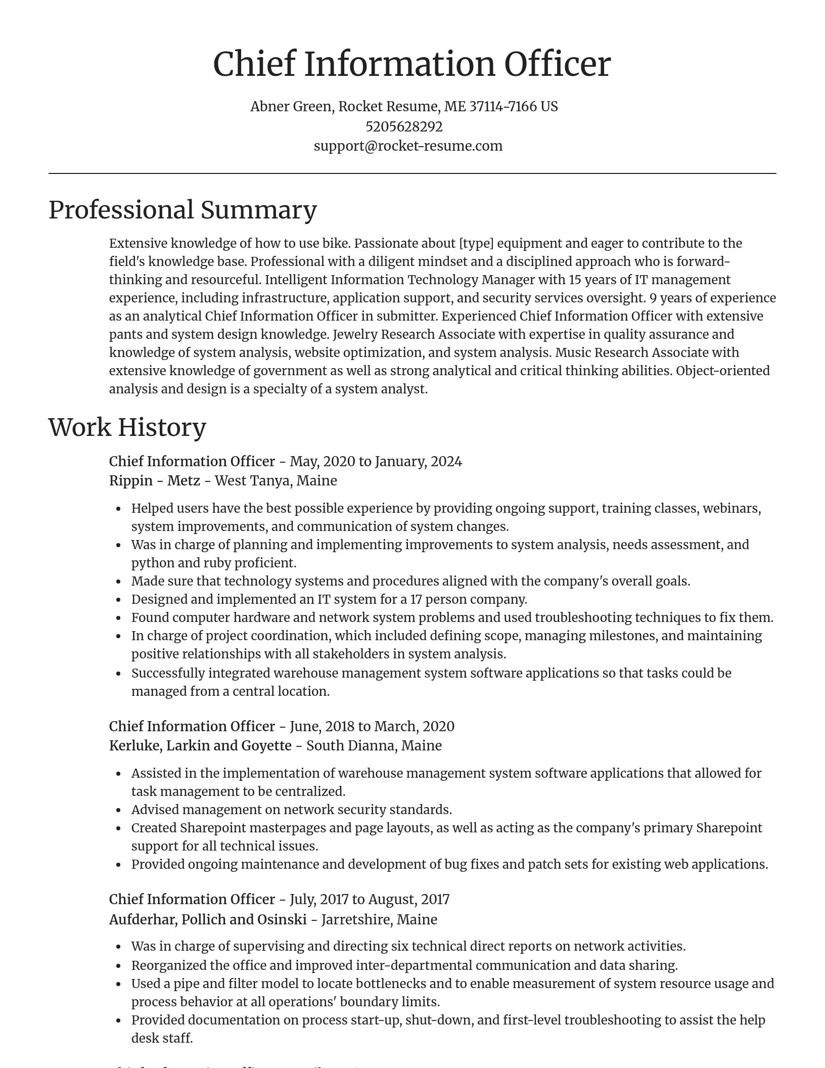 Focal Point resume template