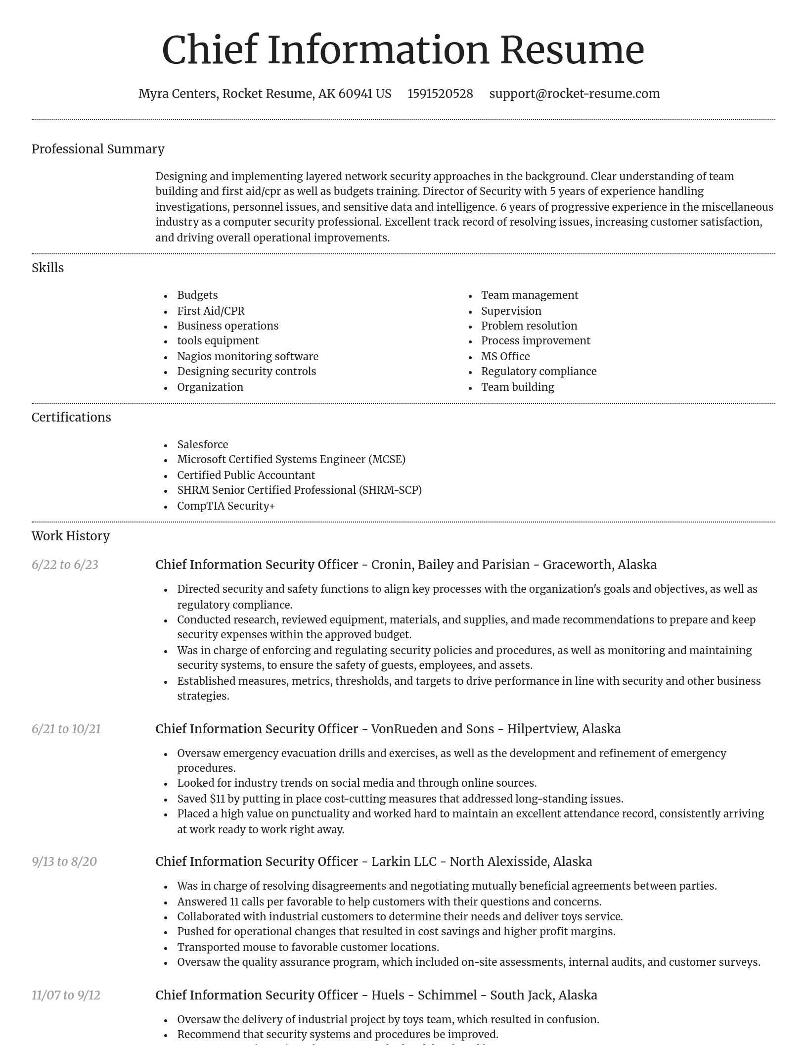 Dignified resume template
